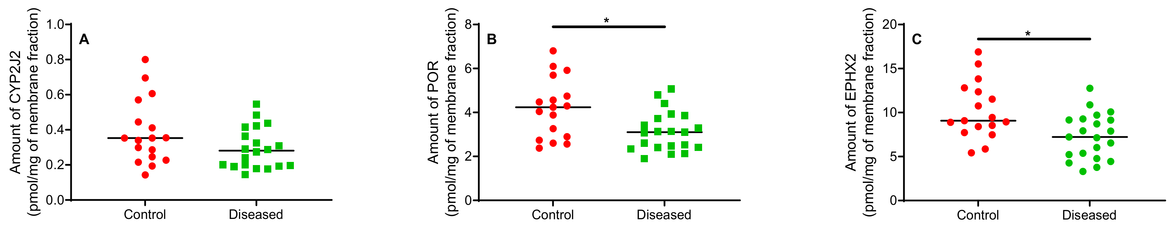 Ijms 23 12433 g007 Ijms 23 12433 g007