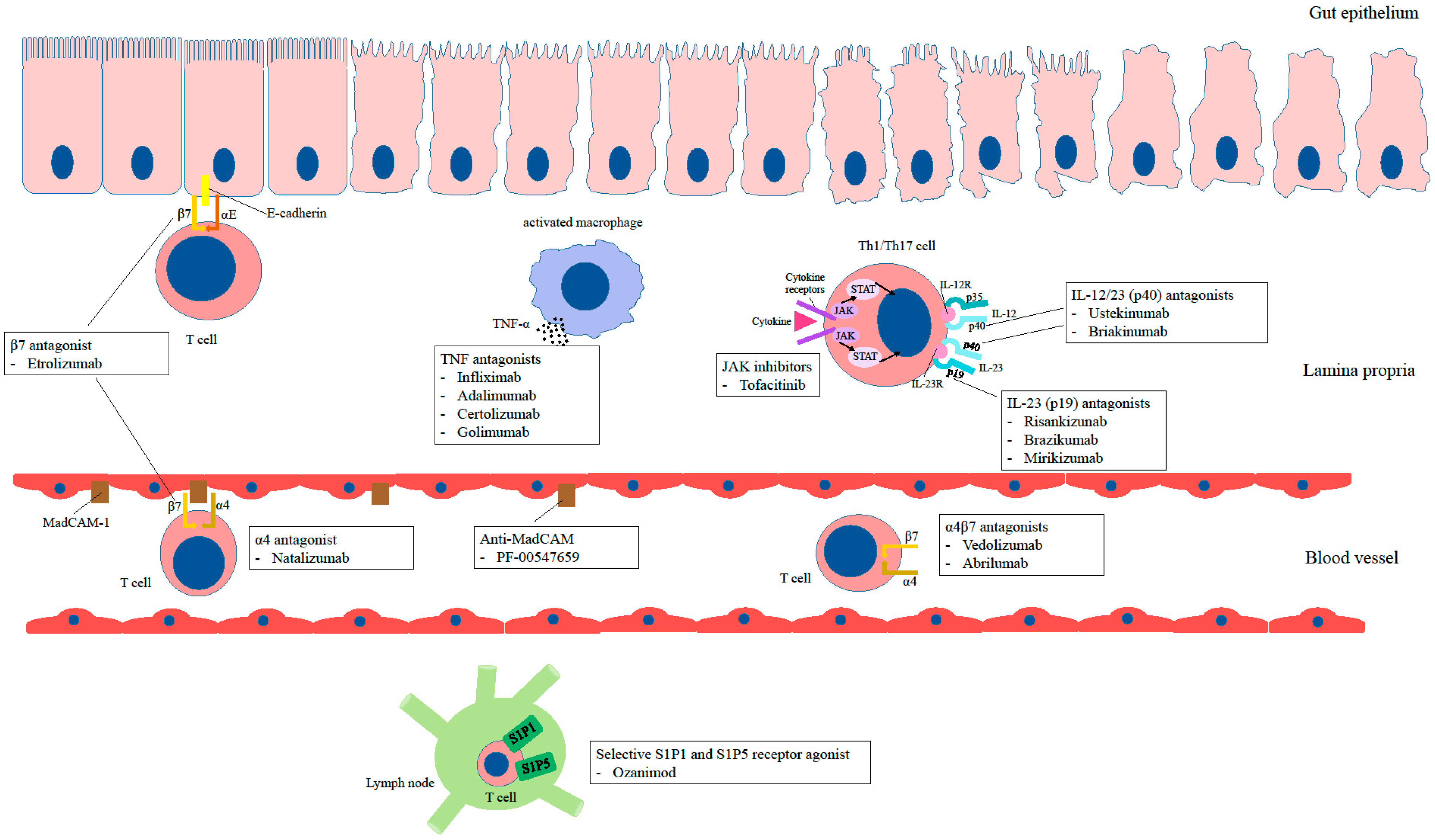 Ijms 23 12445 g002 Ijms 23 12445 g002