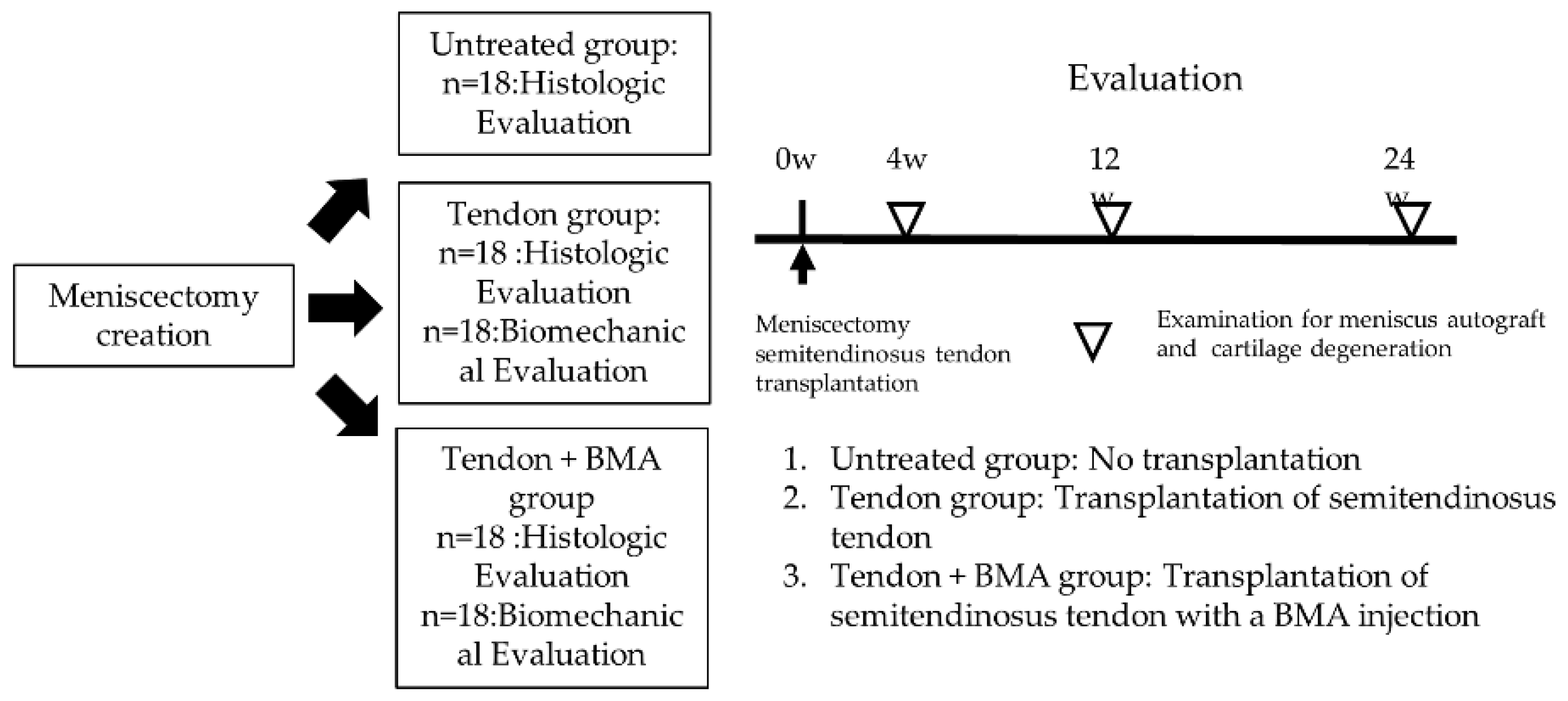 Ijms 23 12458 g009