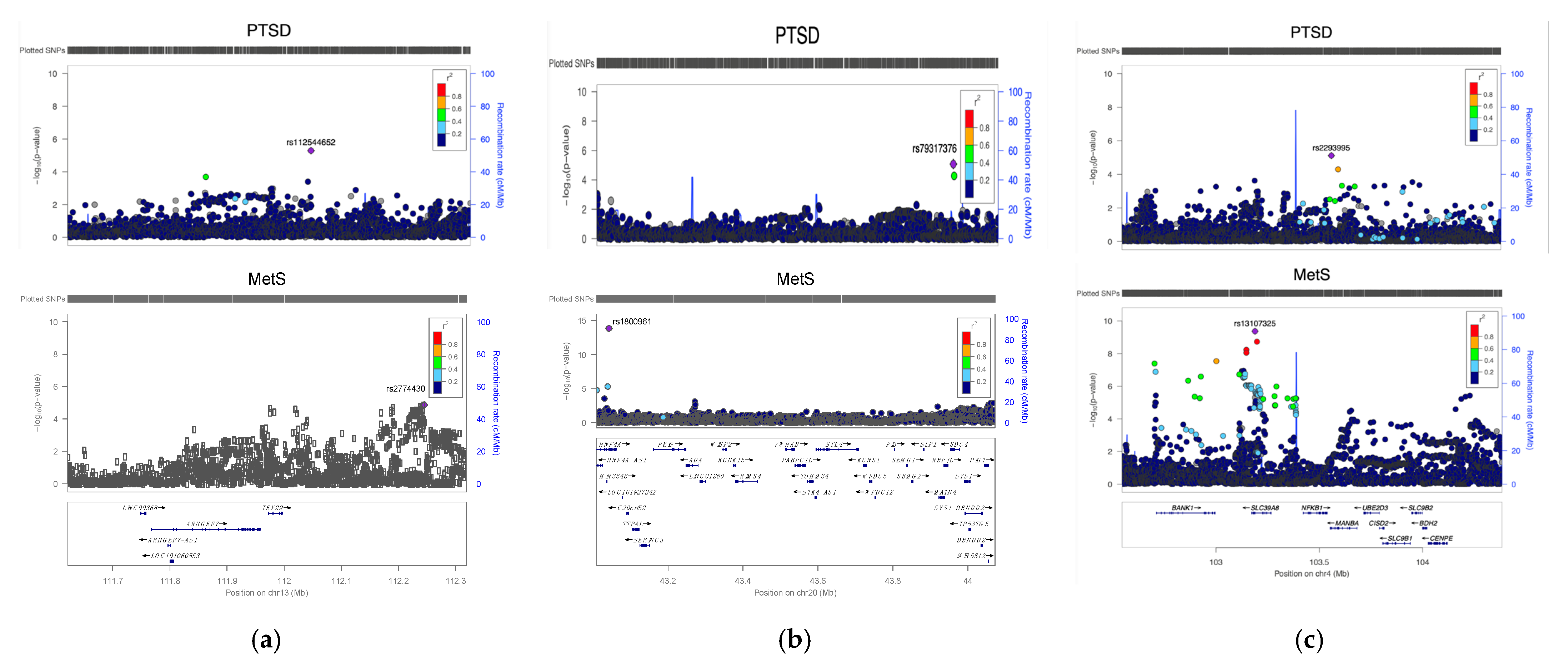 Ijms 23 12504 g004 Ijms 23 12504 g004