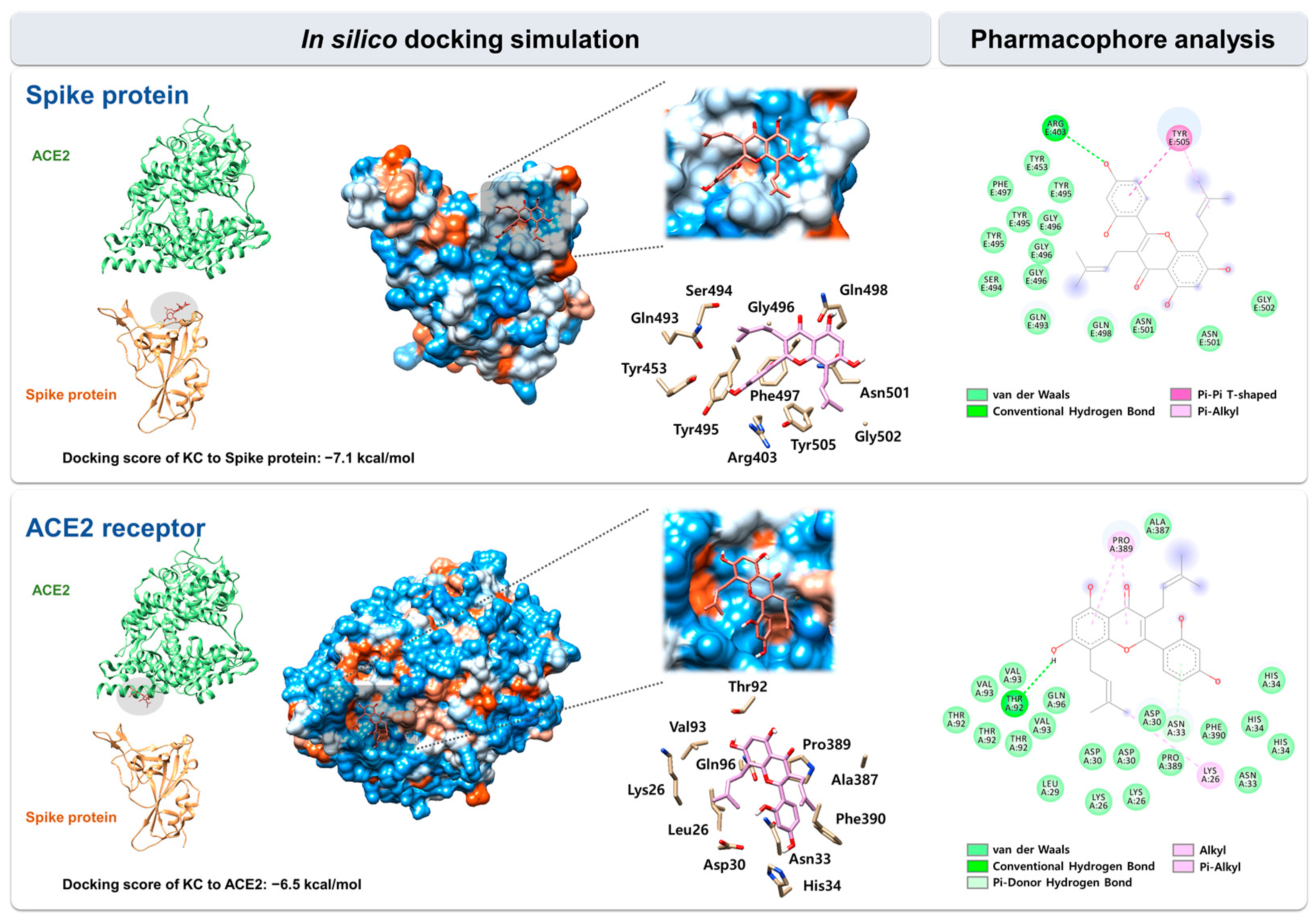 Ijms 23 12516 g003 Ijms 23 12516 g003