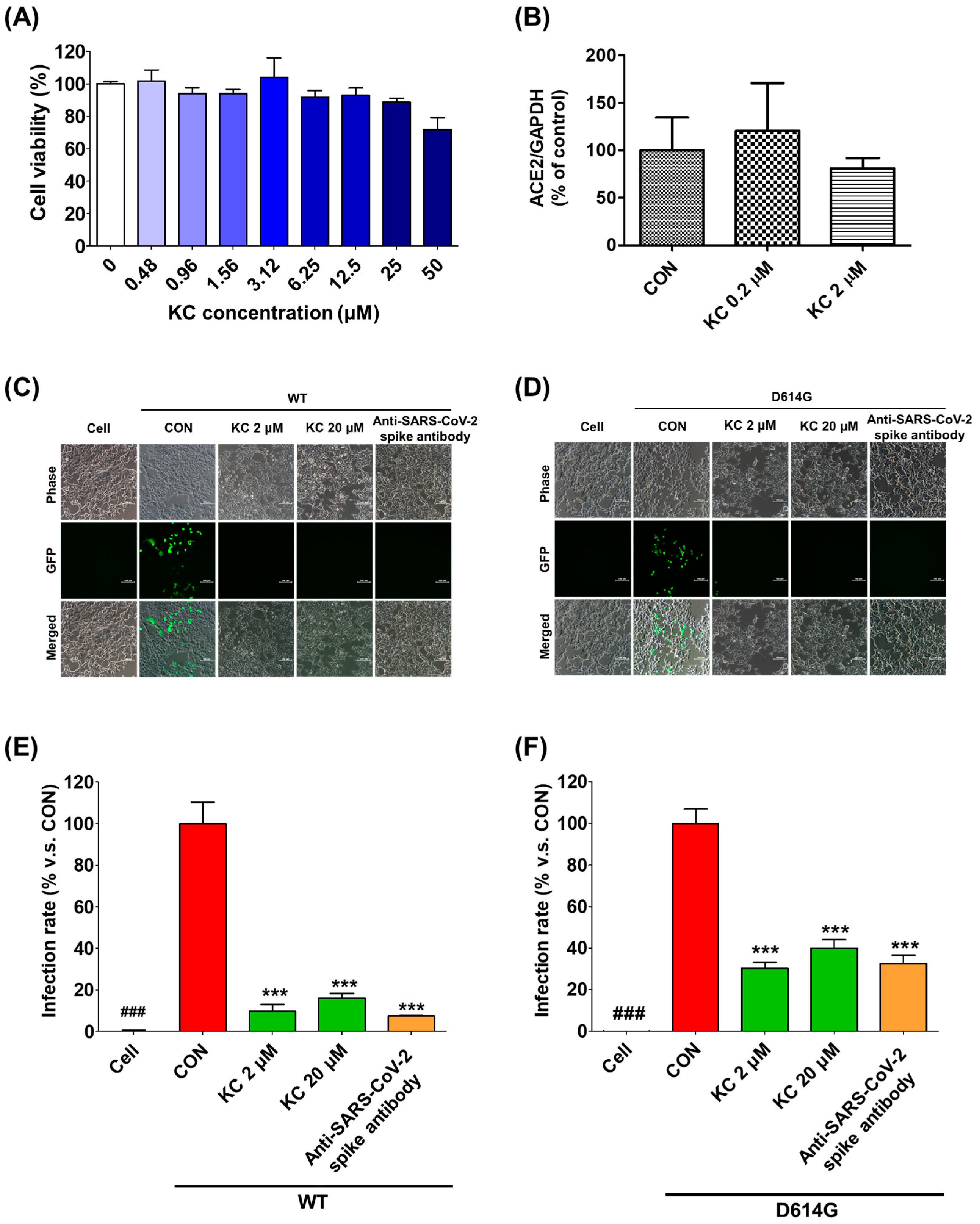 Ijms 23 12516 g004 Ijms 23 12516 g004