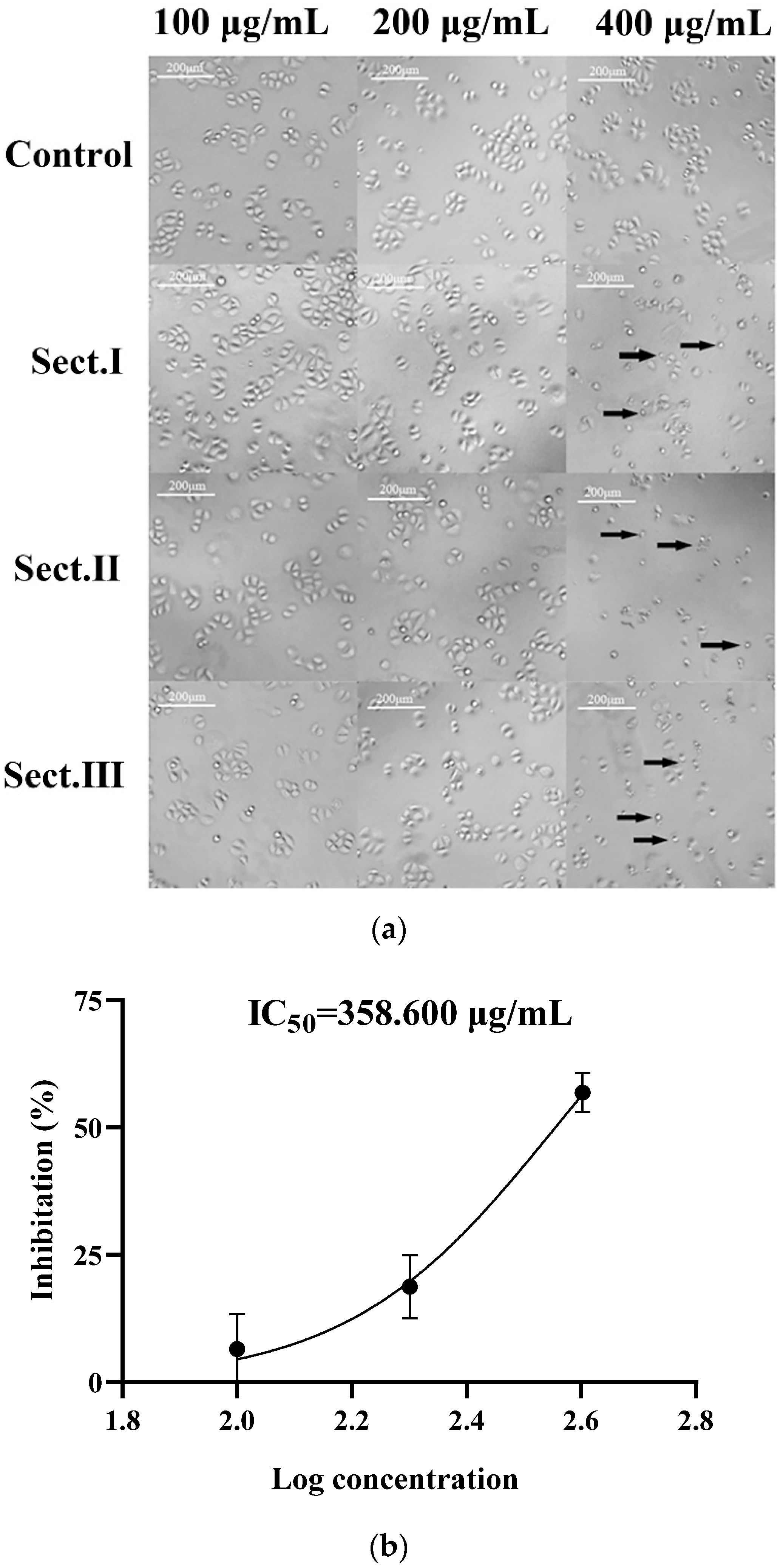 Ijms 23 12535 g001