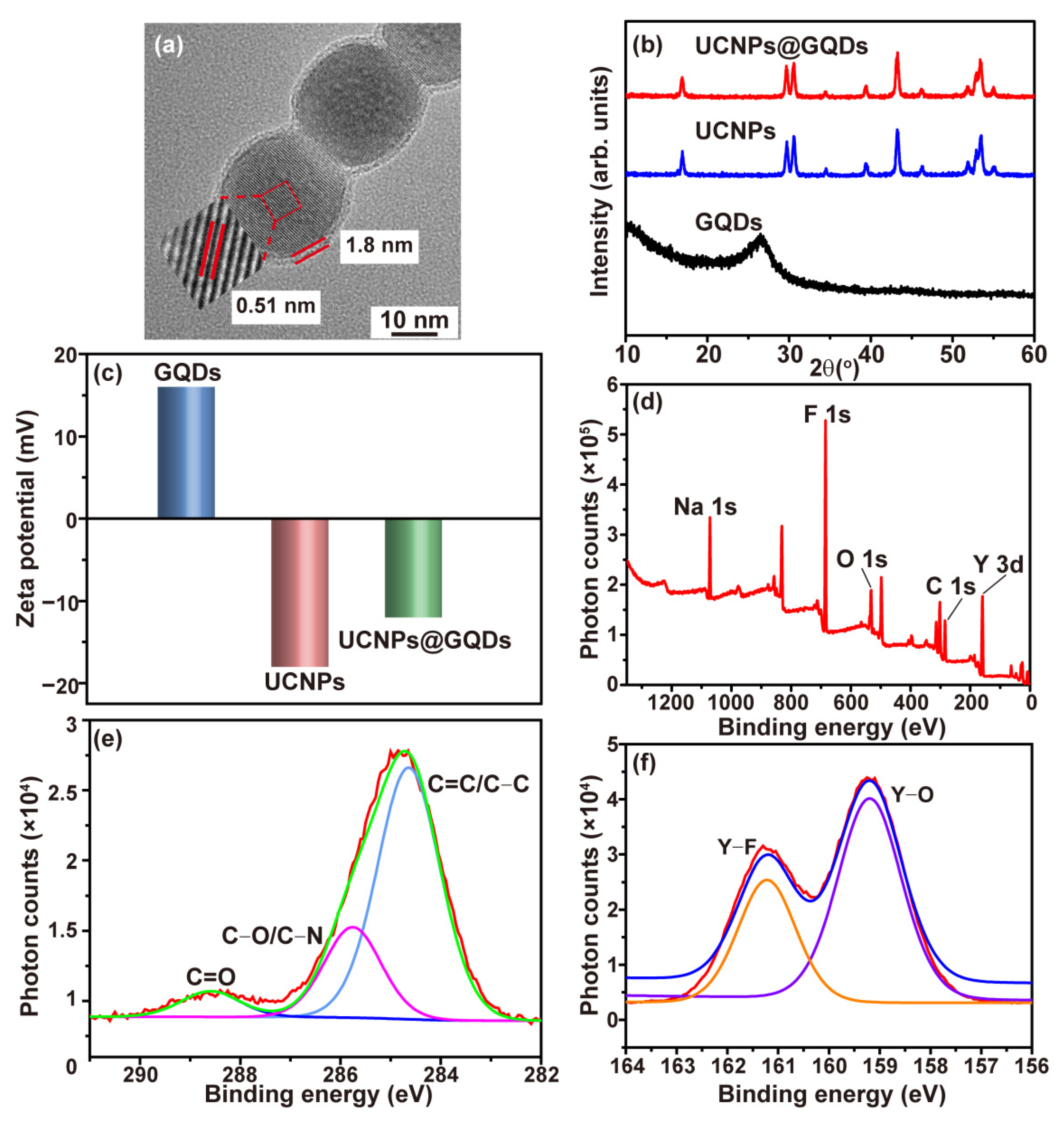 Ijms 23 12558 g001 Ijms 23 12558 g001