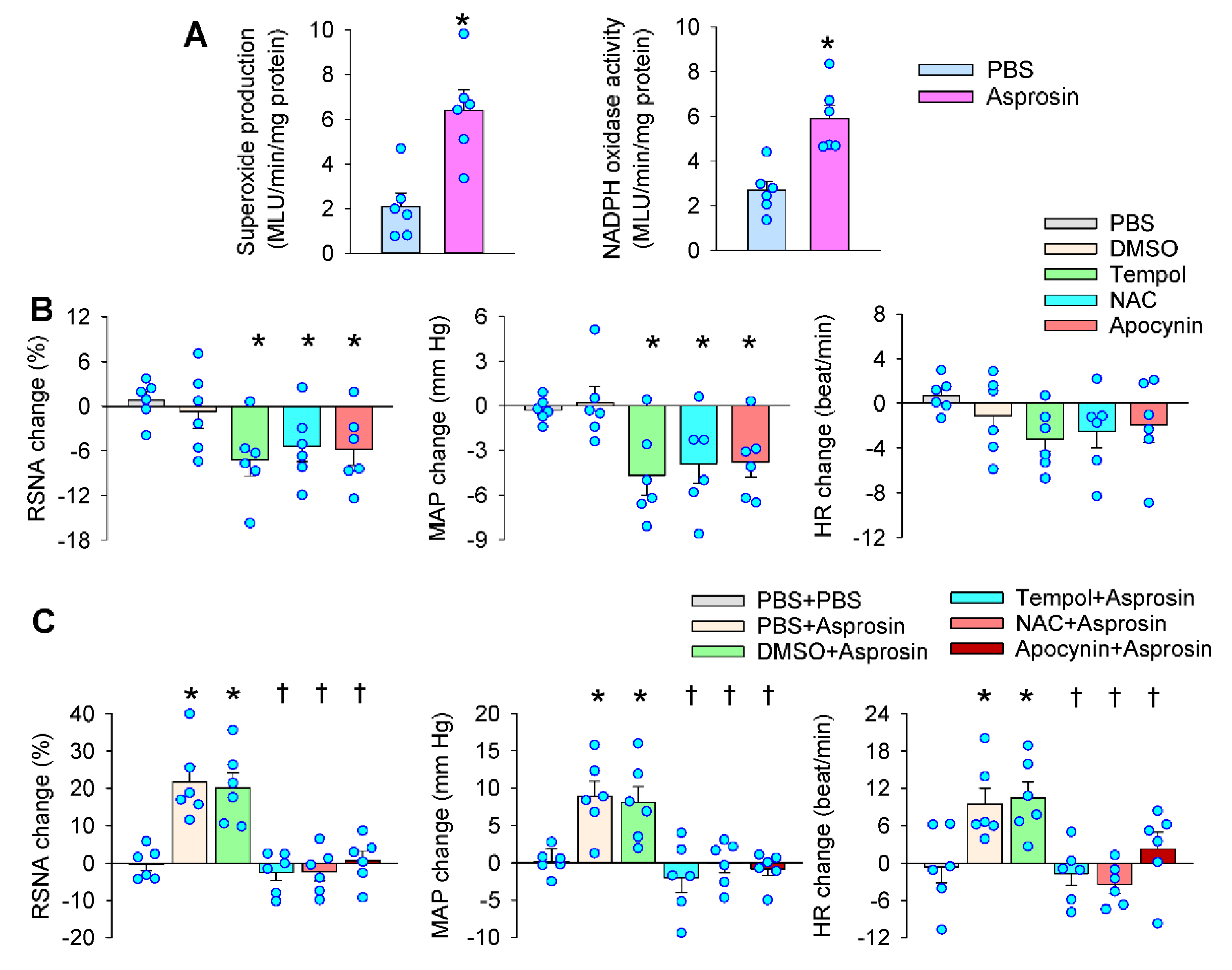 Ijms 23 12595 g004 Ijms 23 12595 g004