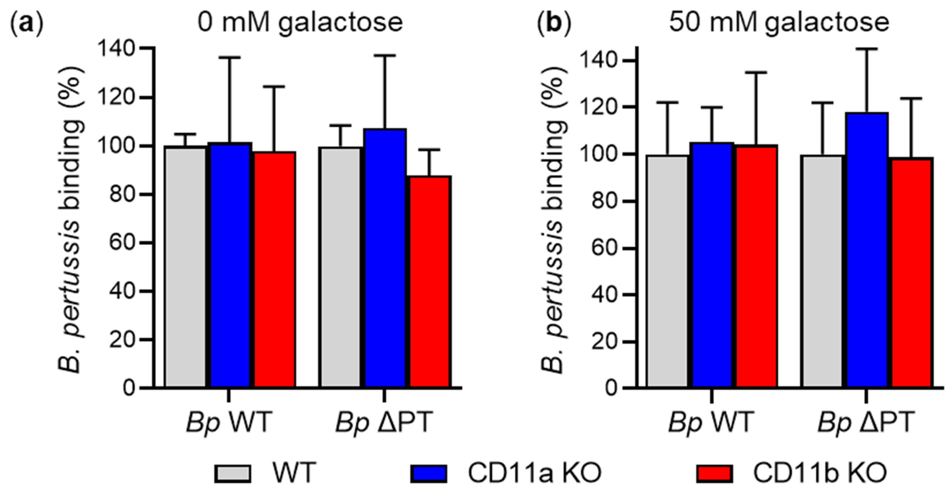 Ijms 23 12598 g006 Ijms 23 12598 g006