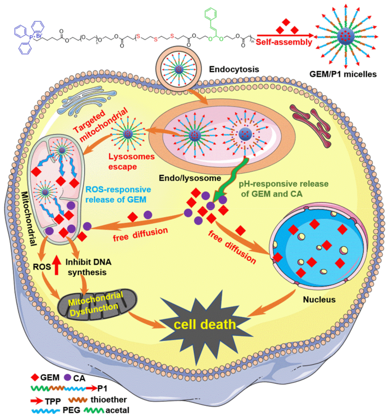 Ijms 23 12624 sch001