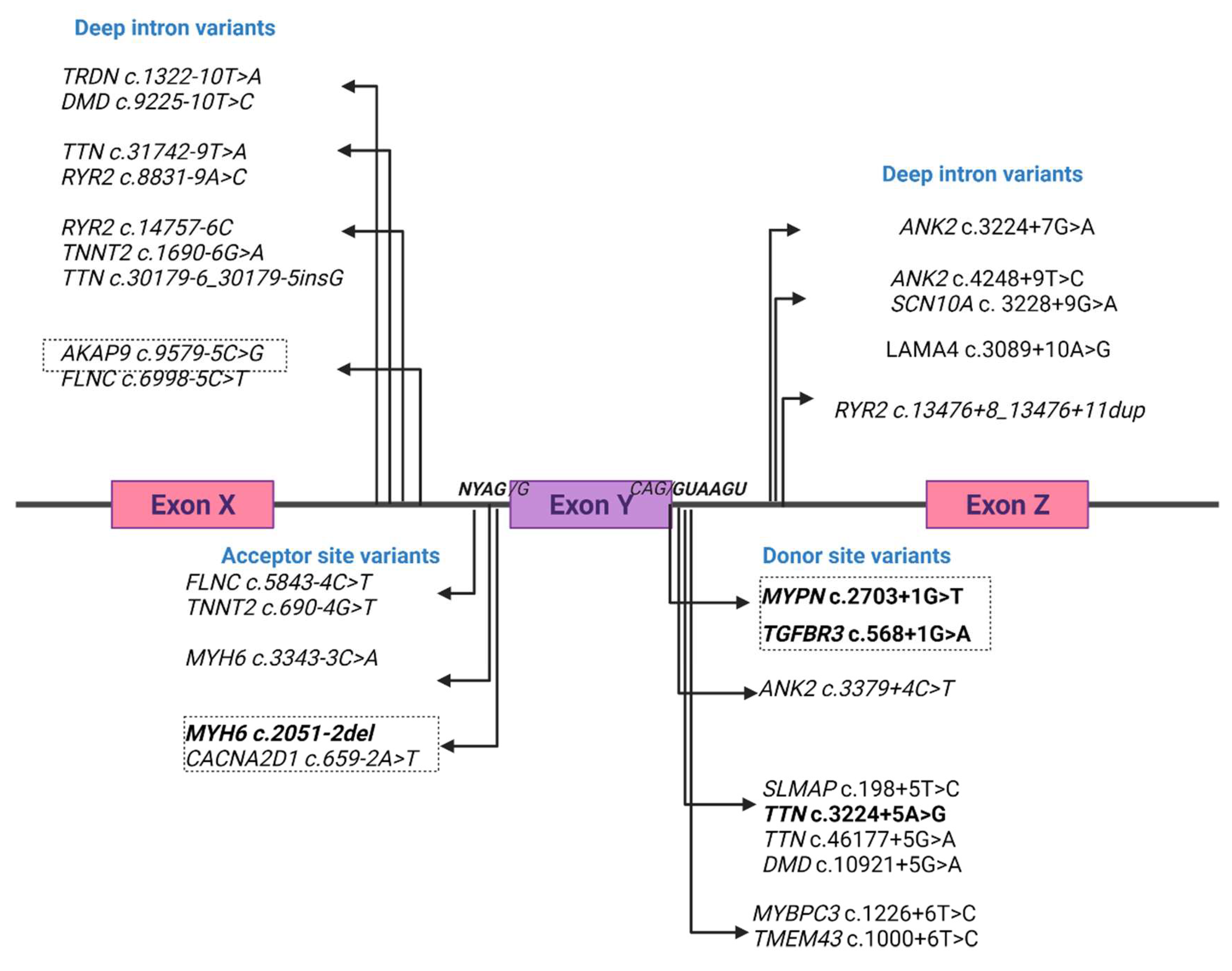 Ijms 23 12640 g001 Ijms 23 12640 g001