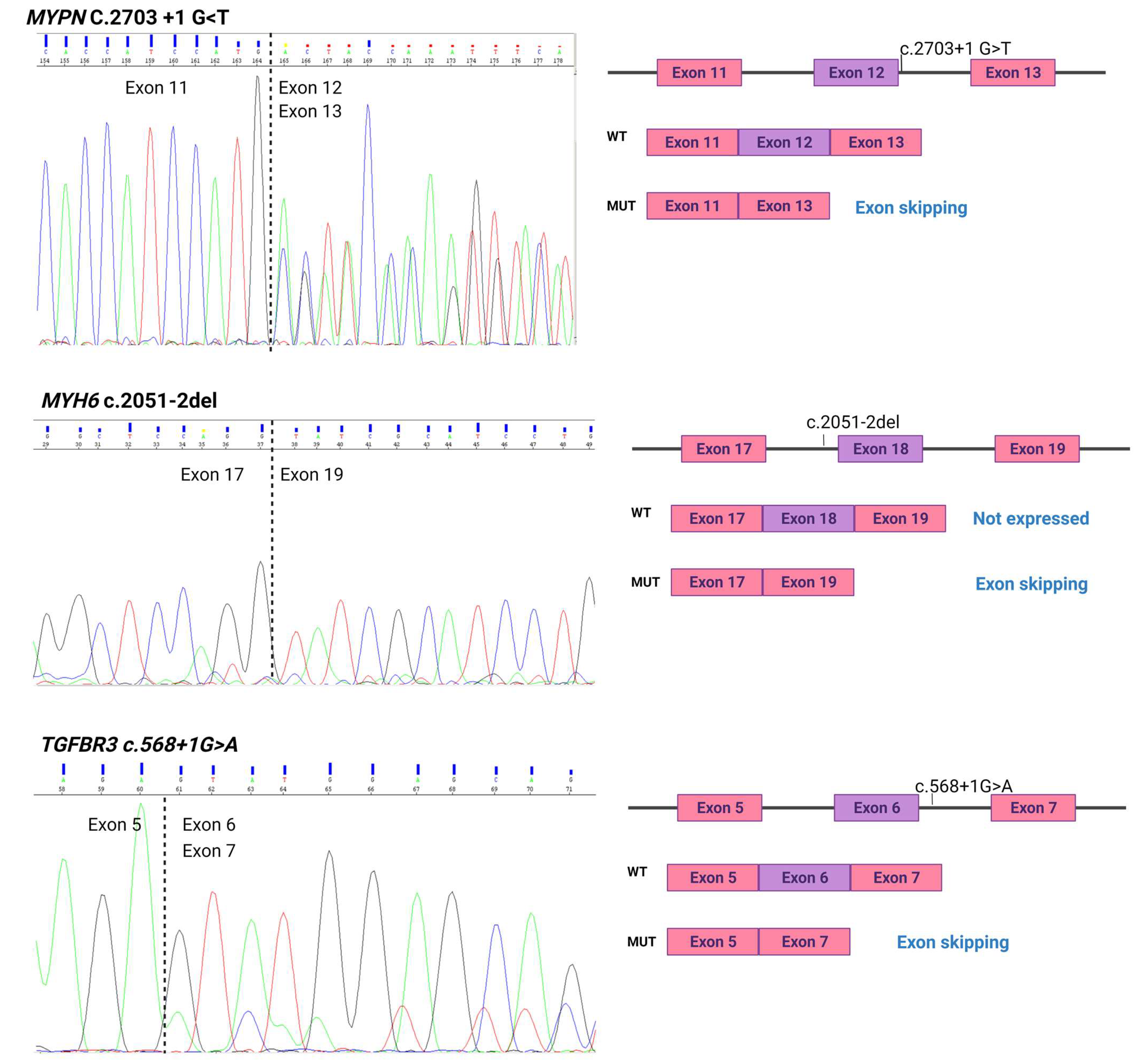 Ijms 23 12640 g002 Ijms 23 12640 g002