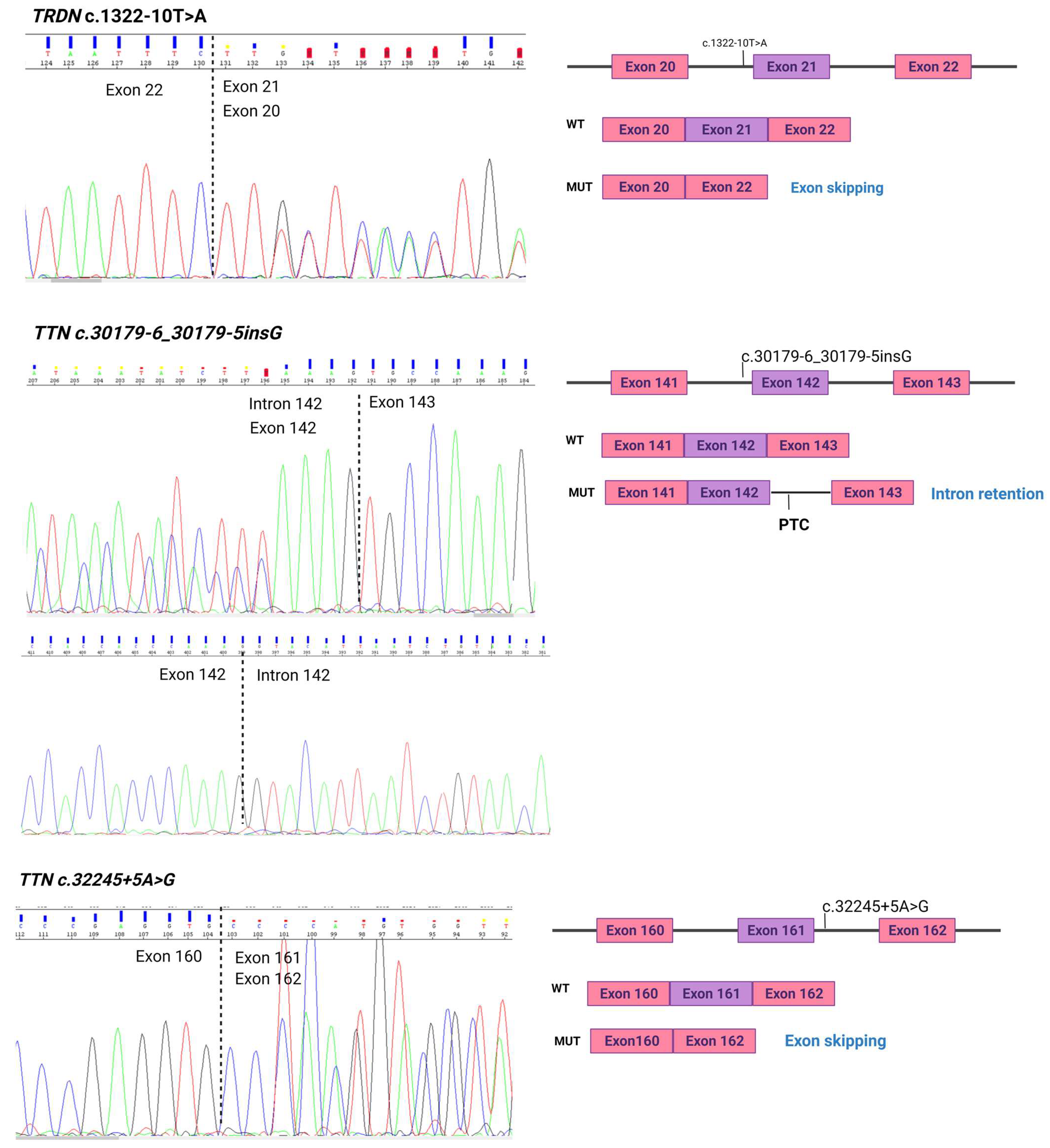 Ijms 23 12640 g003 Ijms 23 12640 g003
