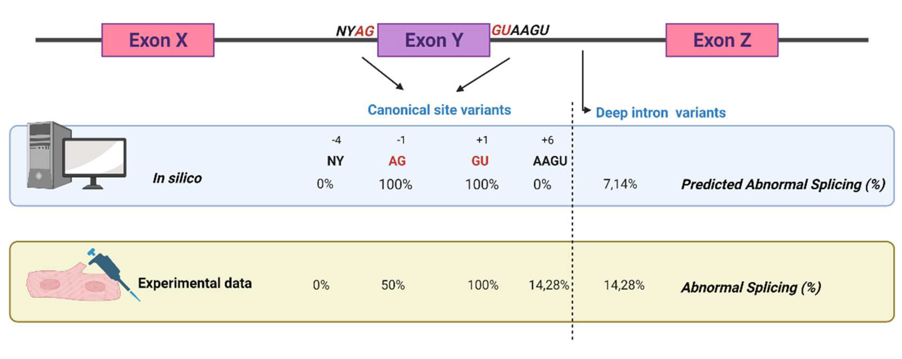 Ijms 23 12640 g004 Ijms 23 12640 g004