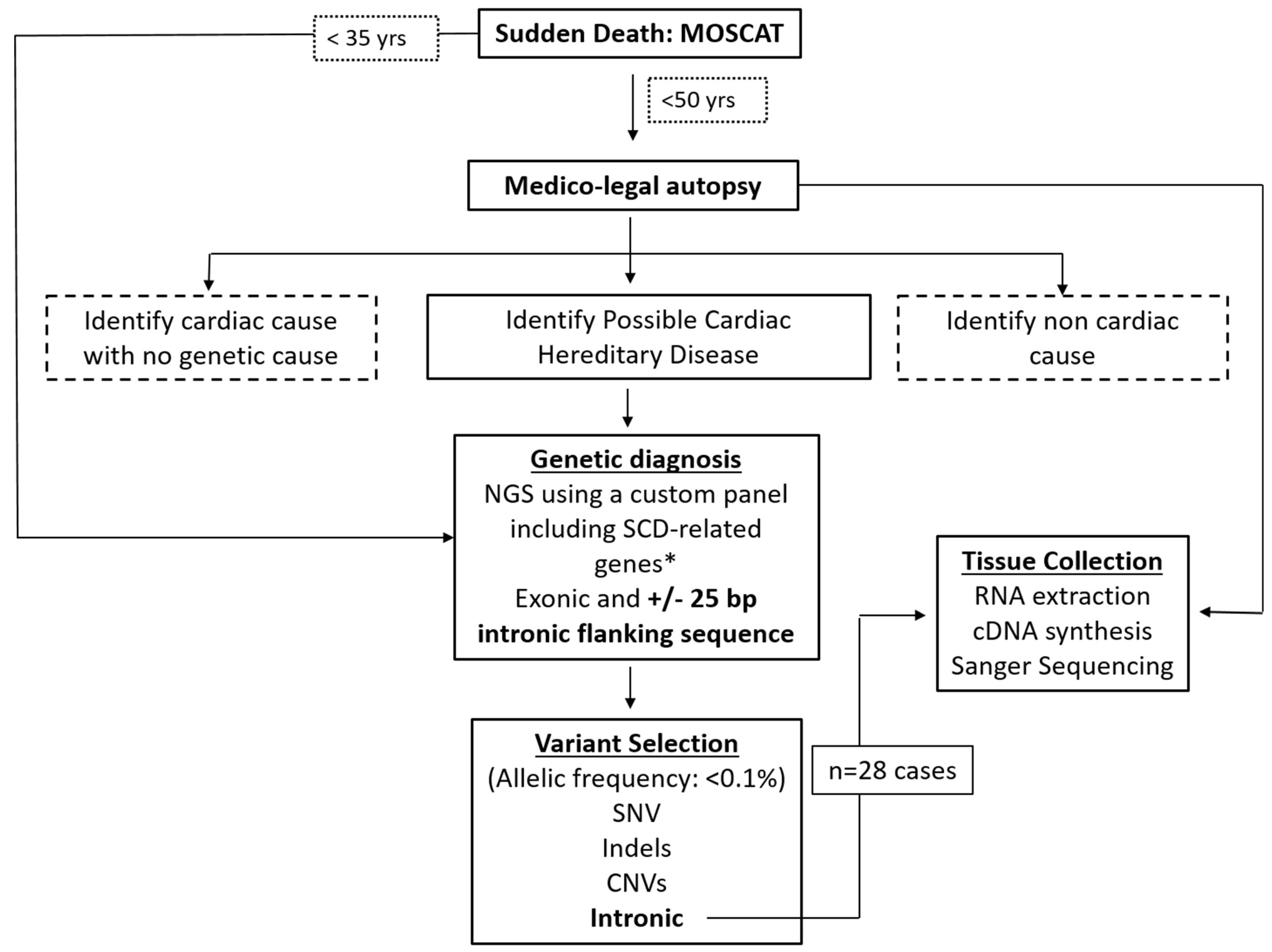 Ijms 23 12640 g005 Ijms 23 12640 g005