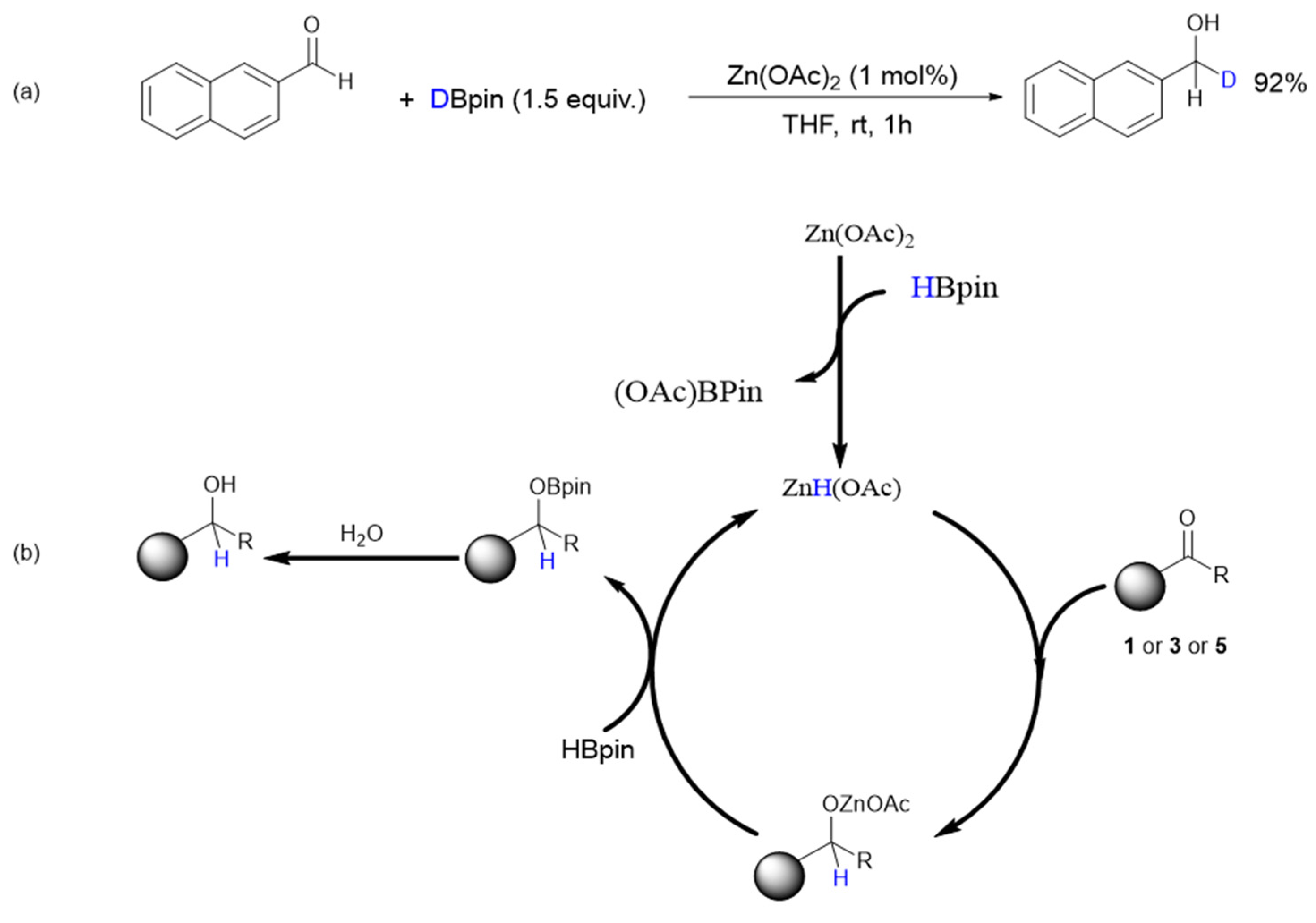 Ijms 23 12679 g002 Ijms 23 12679 g002