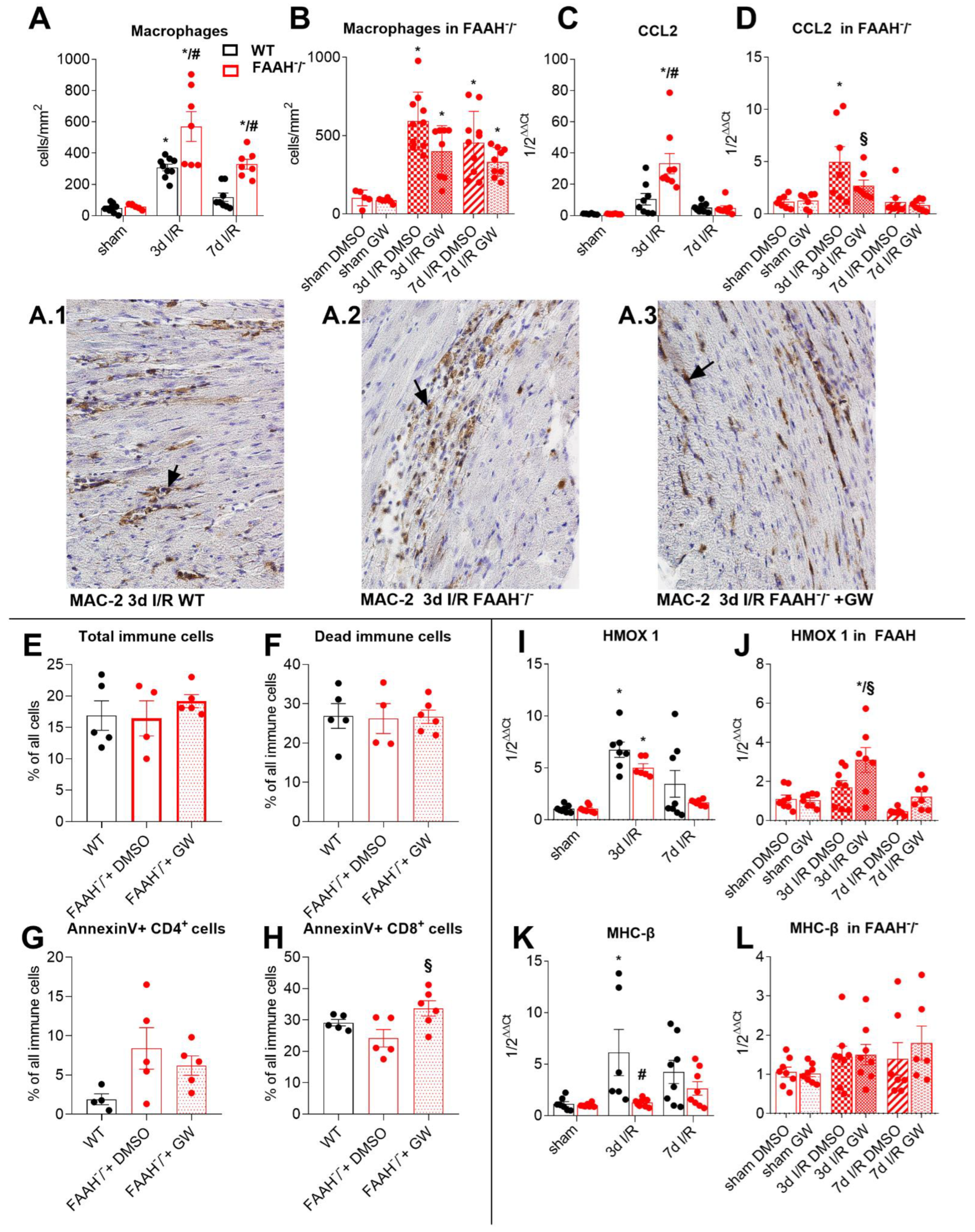 Ijms 23 12690 g003 Ijms 23 12690 g003