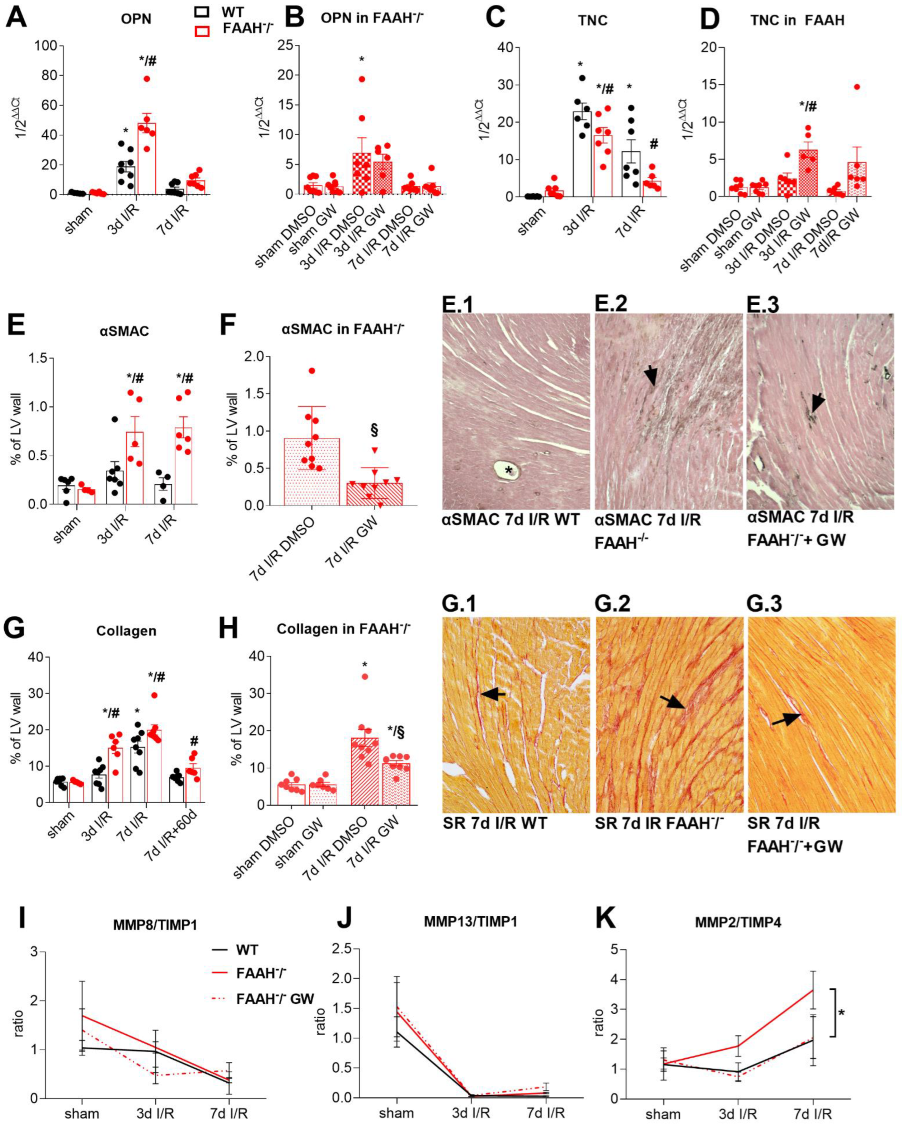 Ijms 23 12690 g004 Ijms 23 12690 g004