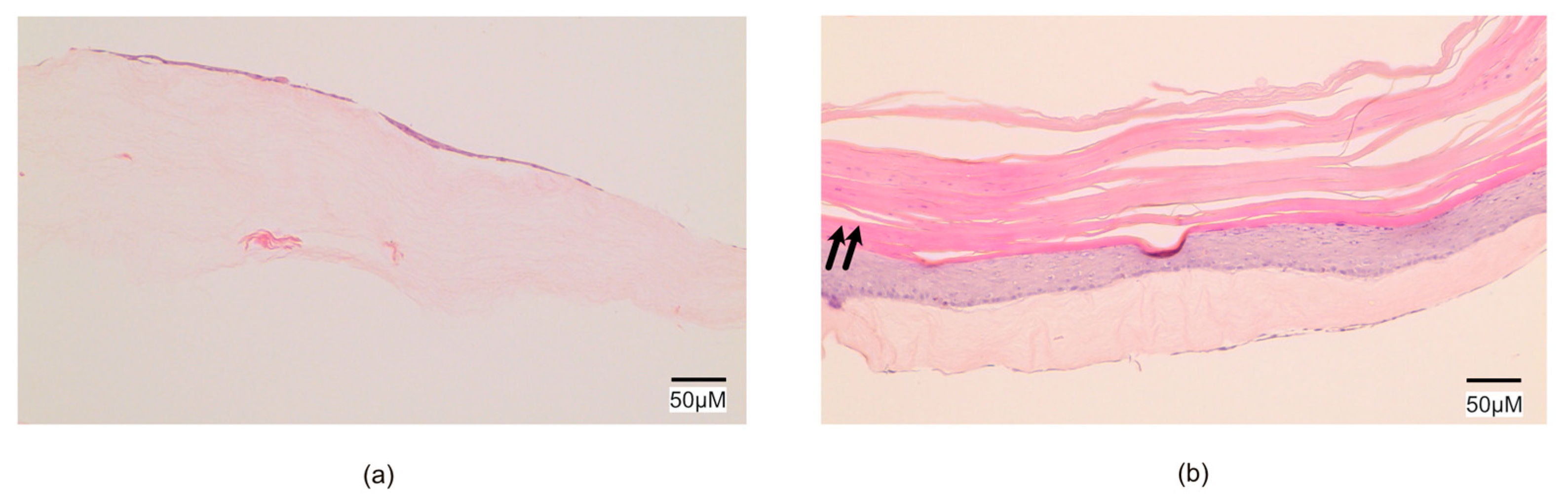 Ijms 23 12703 g001 Ijms 23 12703 g001