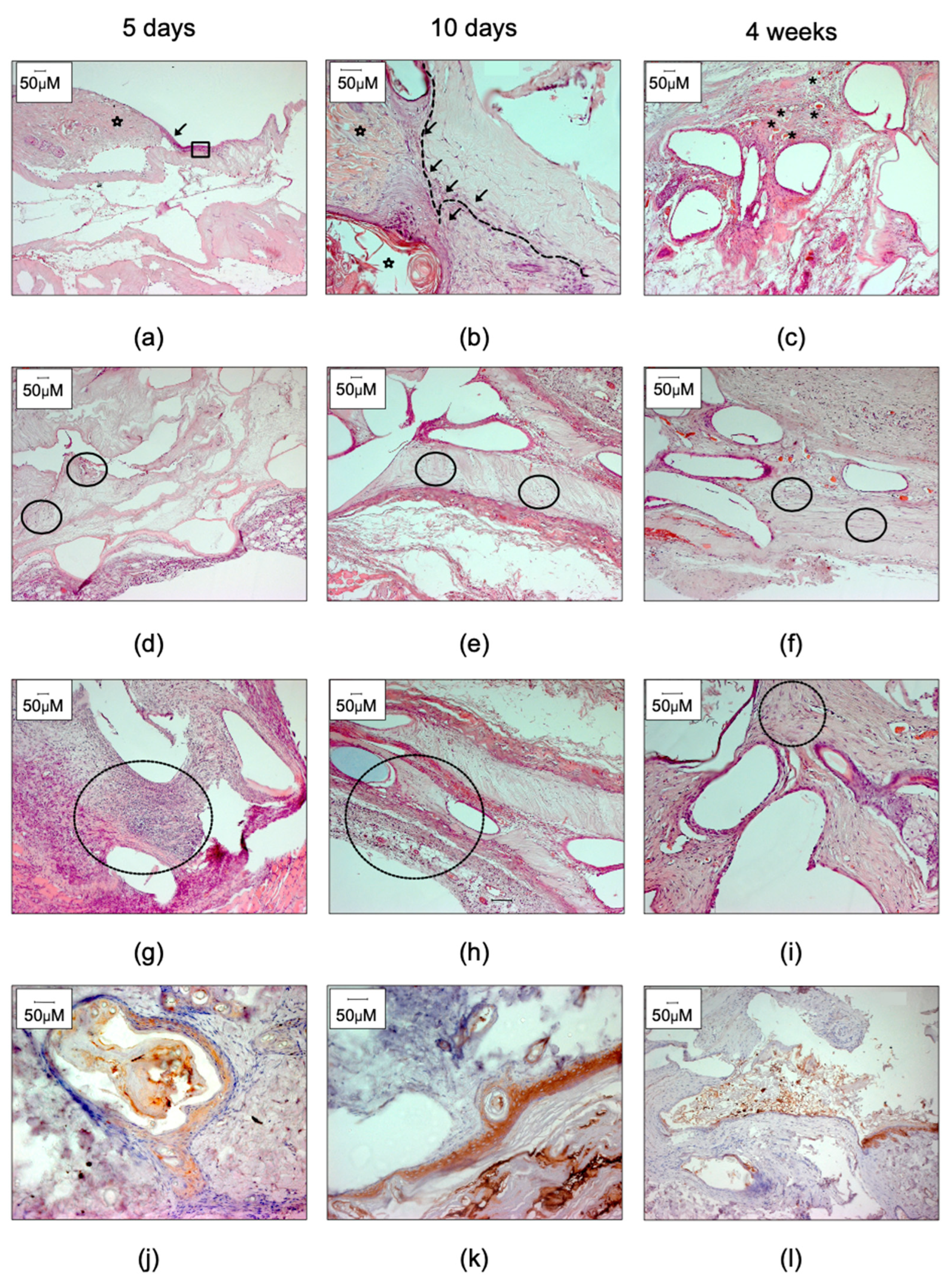 Ijms 23 12703 g004 Ijms 23 12703 g004