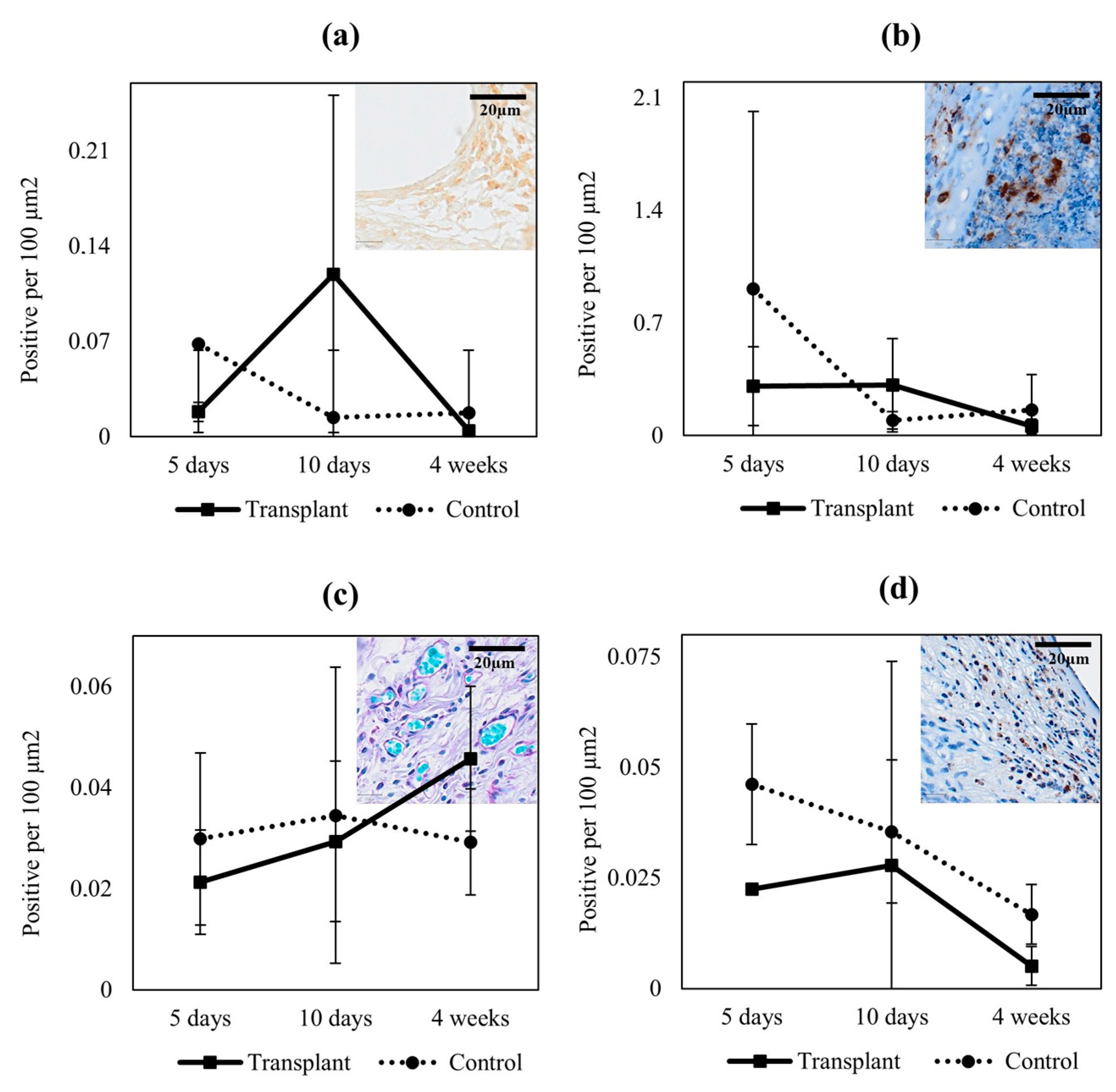 Ijms 23 12703 g005 Ijms 23 12703 g005