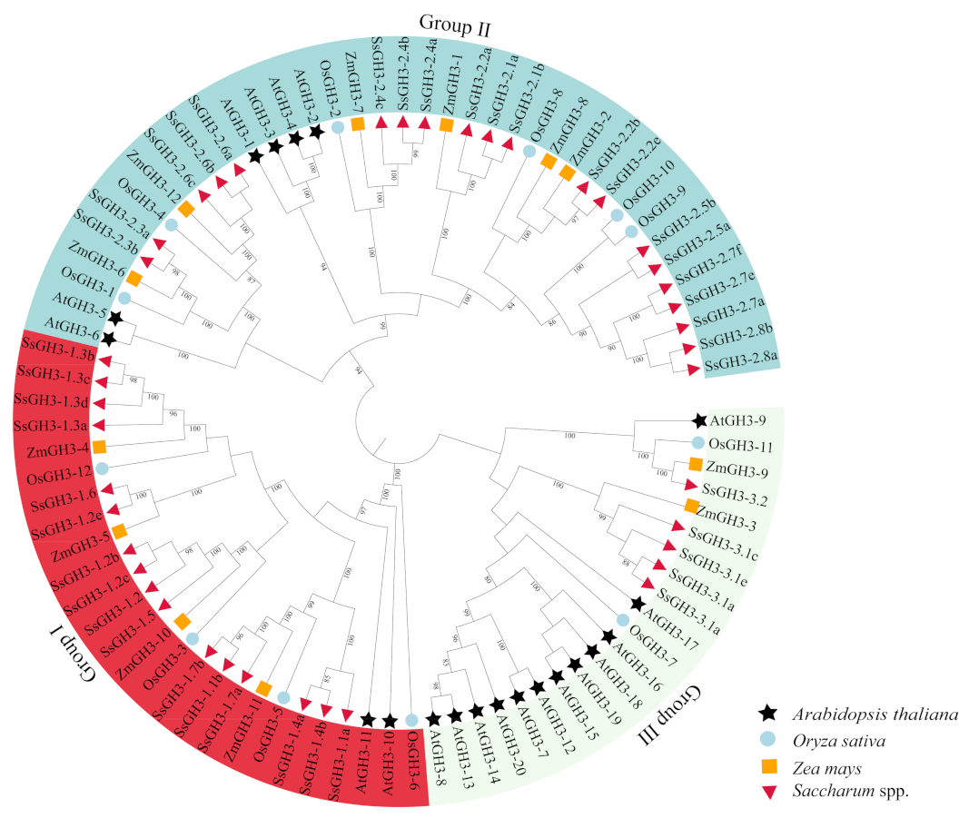 Ijms 23 12750 g001 Ijms 23 12750 g001