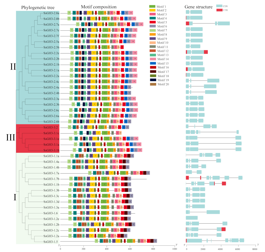 Ijms 23 12750 g002 Ijms 23 12750 g002