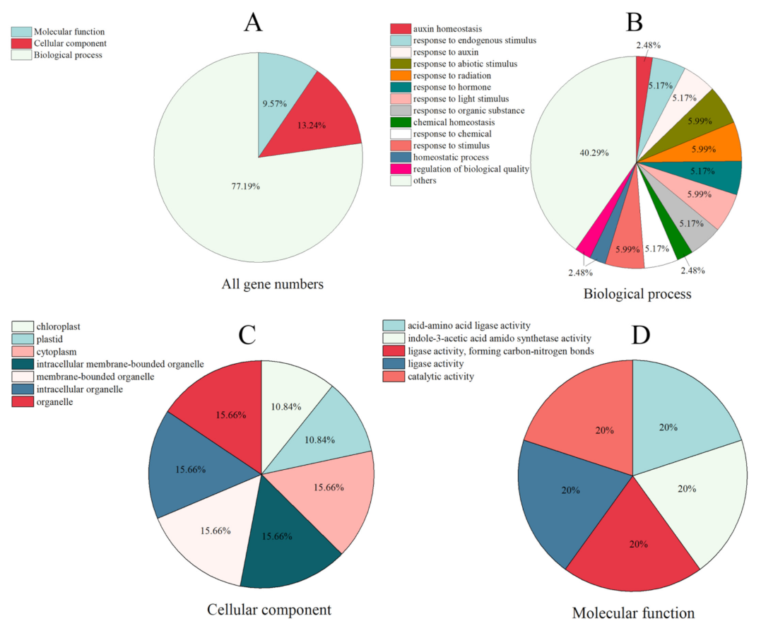Ijms 23 12750 g004 Ijms 23 12750 g004