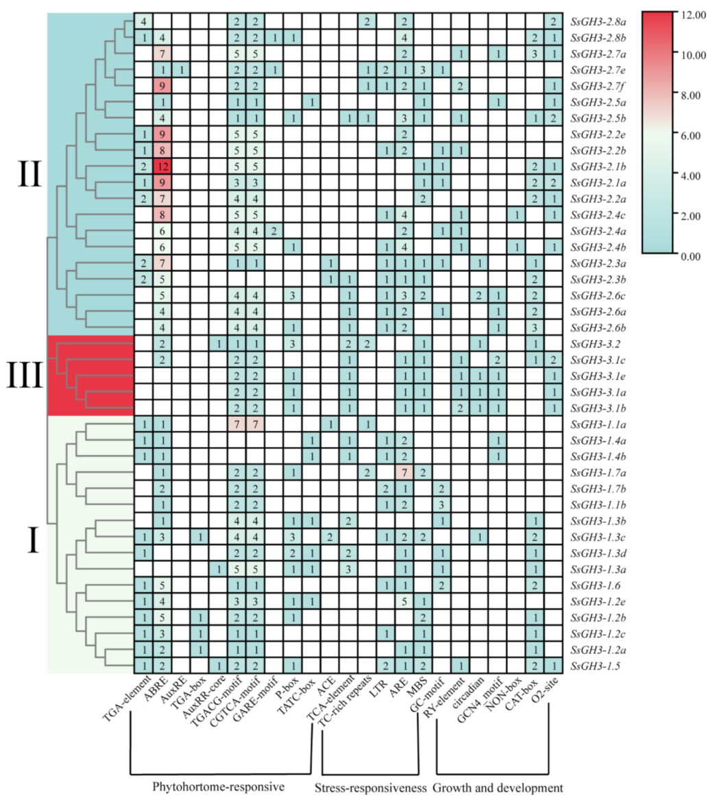 Ijms 23 12750 g005 Ijms 23 12750 g005