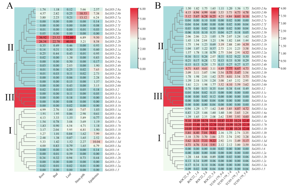 Ijms 23 12750 g006 Ijms 23 12750 g006