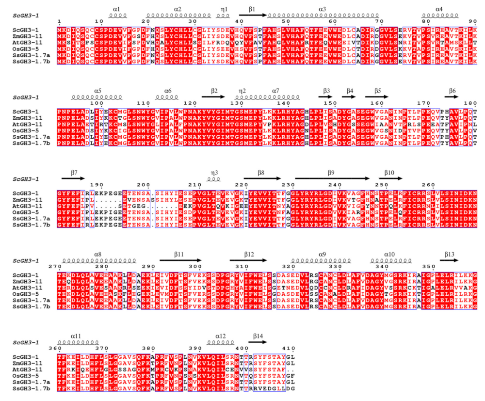 Ijms 23 12750 g007 Ijms 23 12750 g007