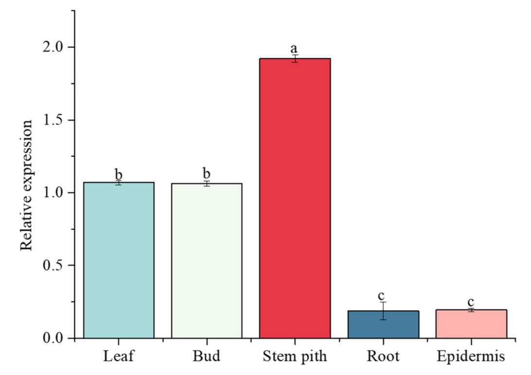 Ijms 23 12750 g009 Ijms 23 12750 g009