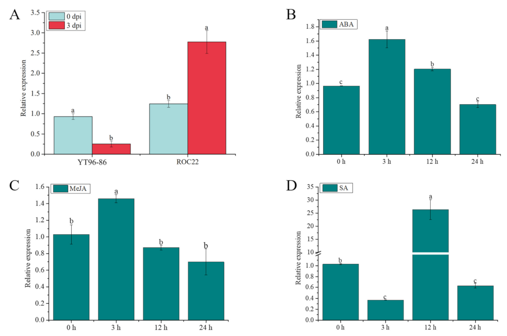 Ijms 23 12750 g010 Ijms 23 12750 g010