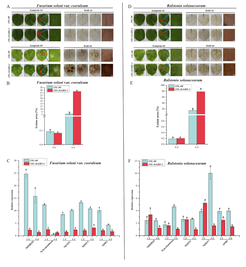 Ijms 23 12750 g011 Ijms 23 12750 g011