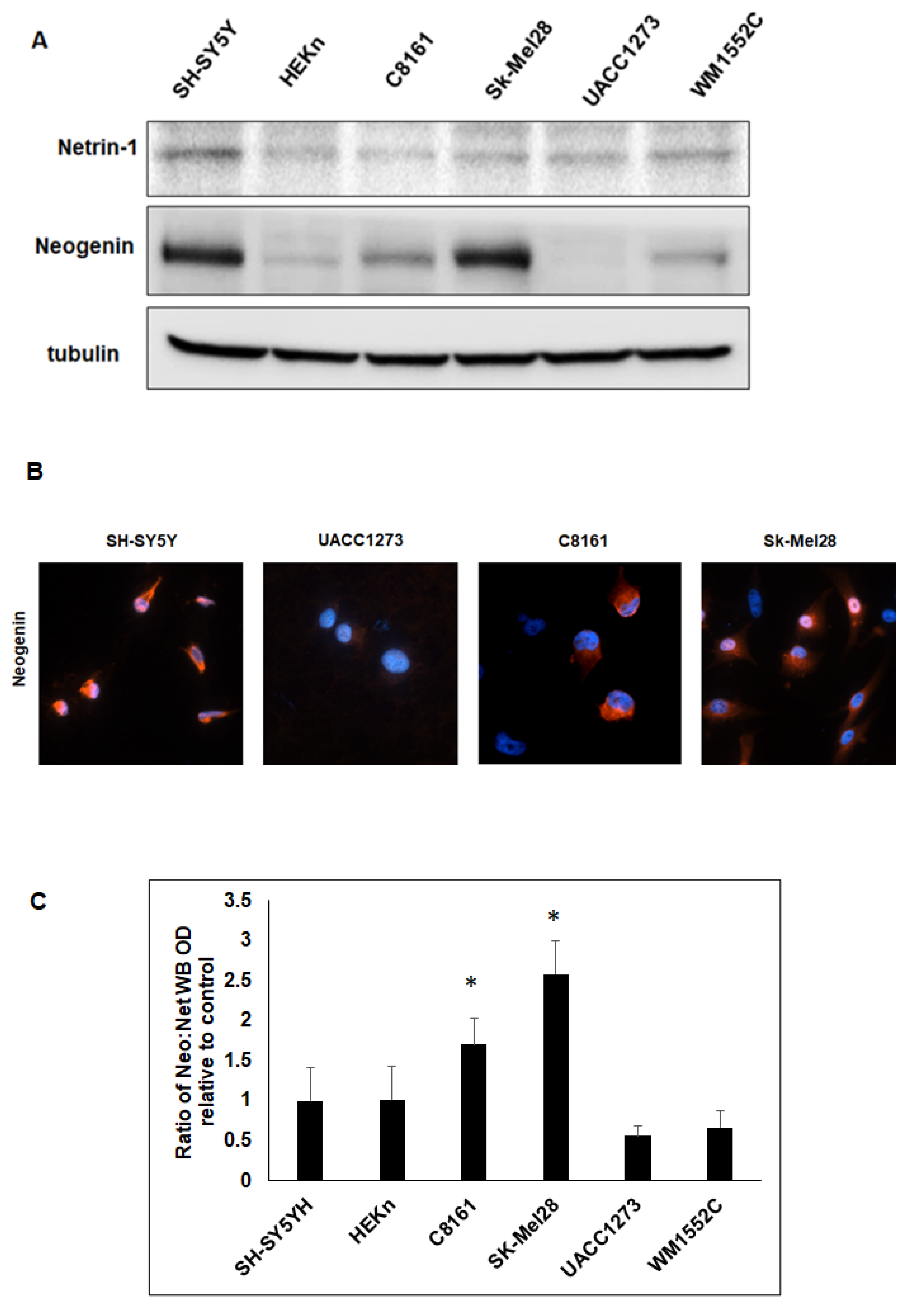 Ijms 23 12751 g001 Ijms 23 12751 g001