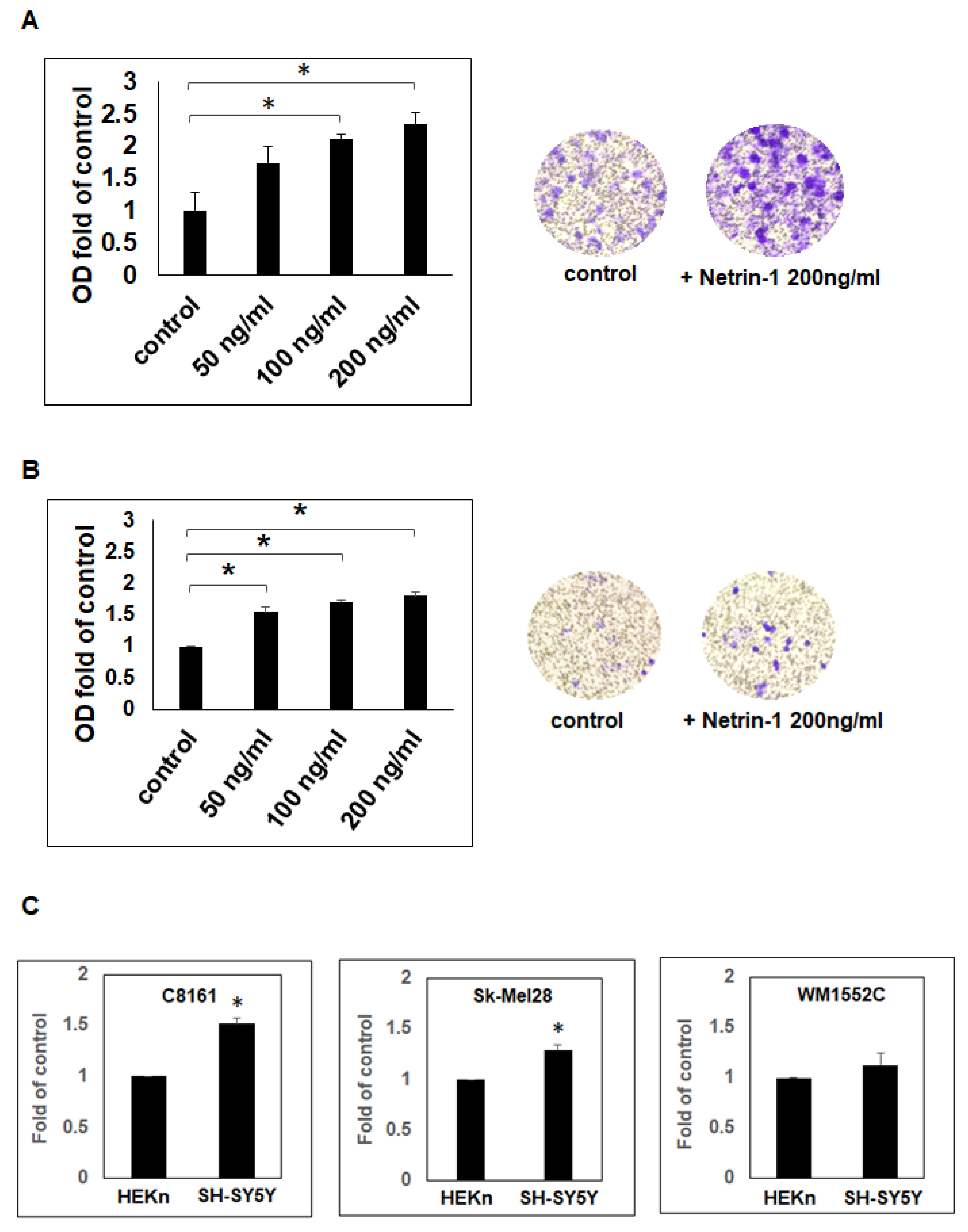 Ijms 23 12751 g002 Ijms 23 12751 g002