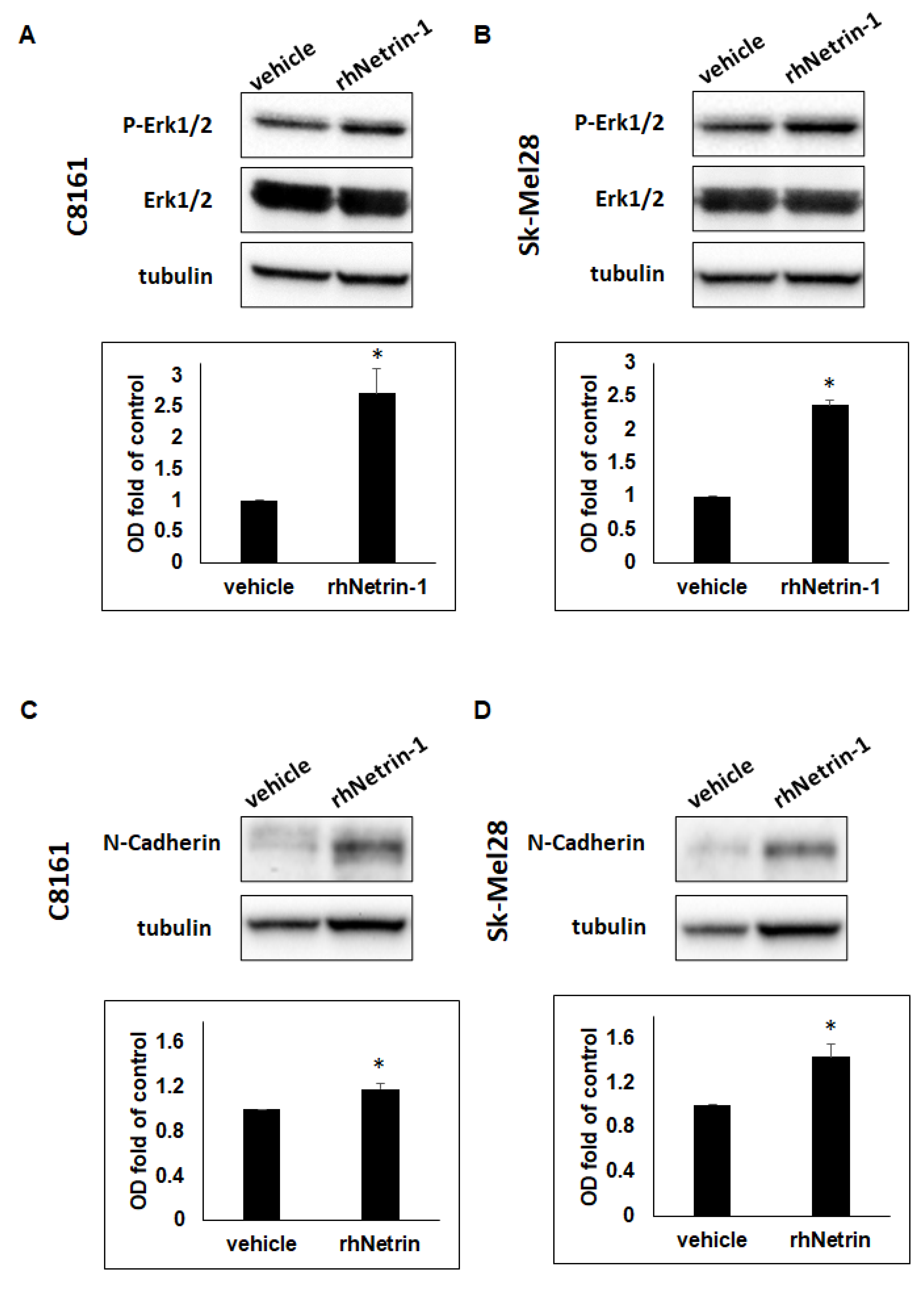 Ijms 23 12751 g003 Ijms 23 12751 g003