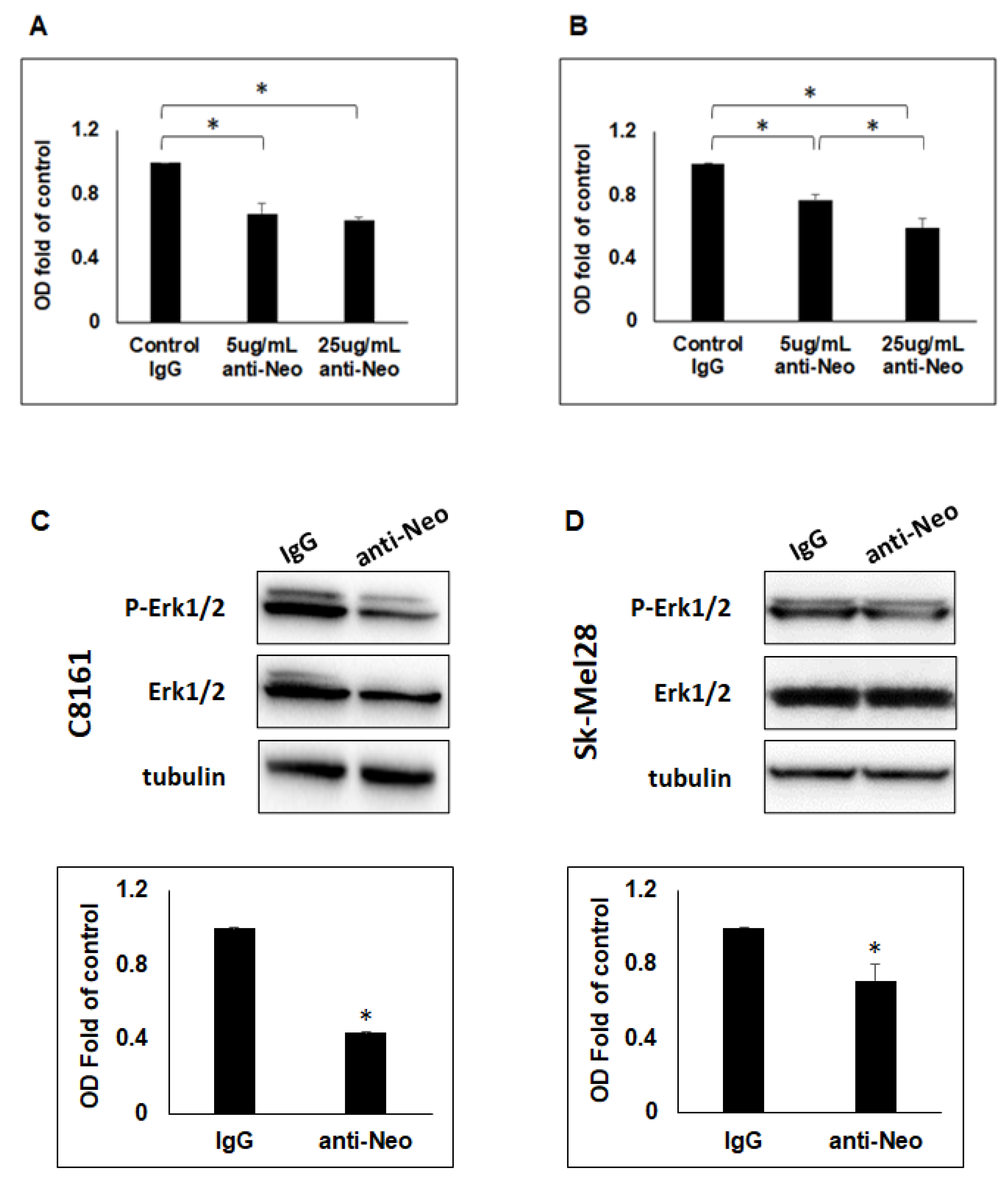 Ijms 23 12751 g004 Ijms 23 12751 g004