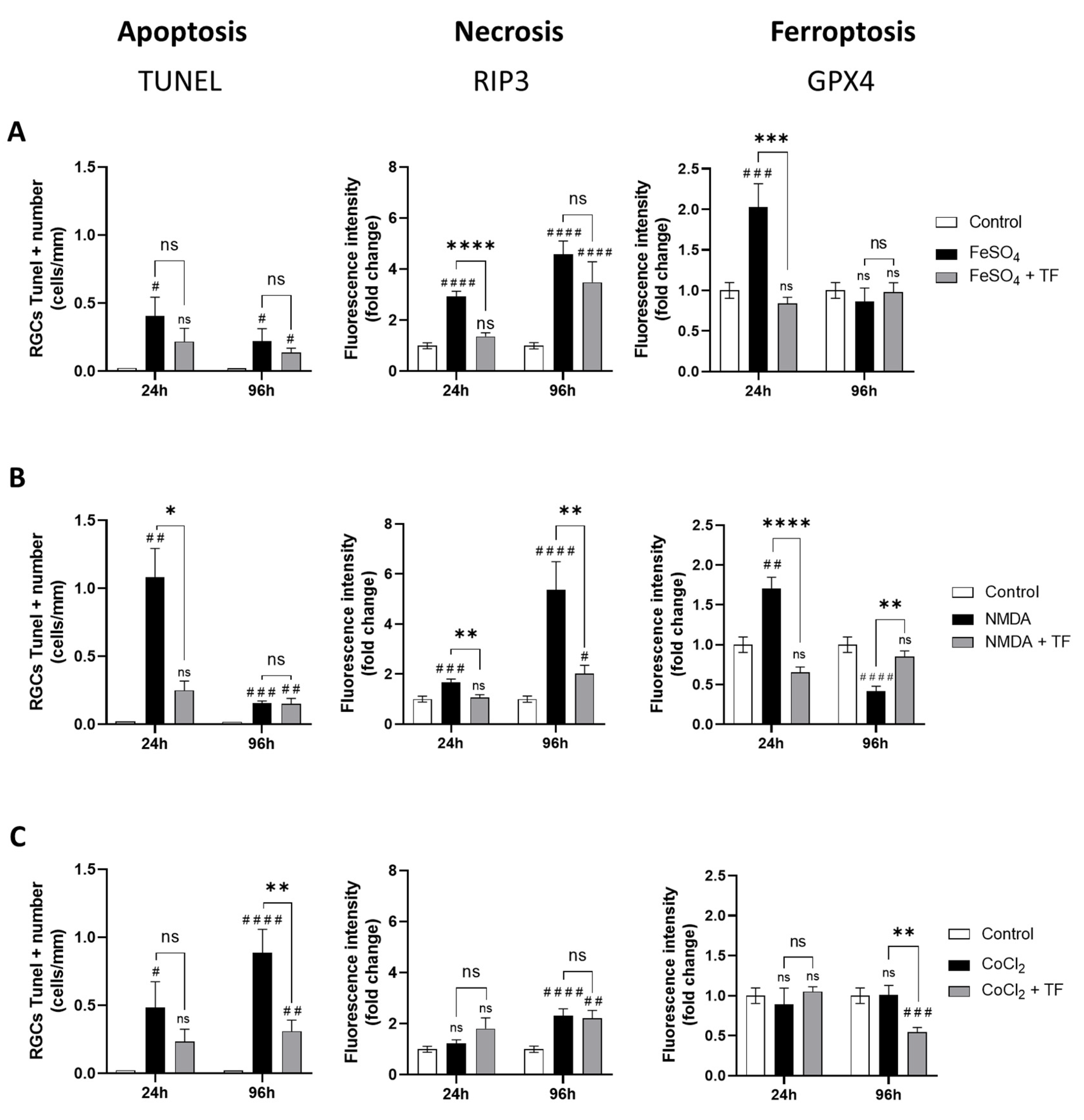 Ijms 23 12753 g003 Ijms 23 12753 g003