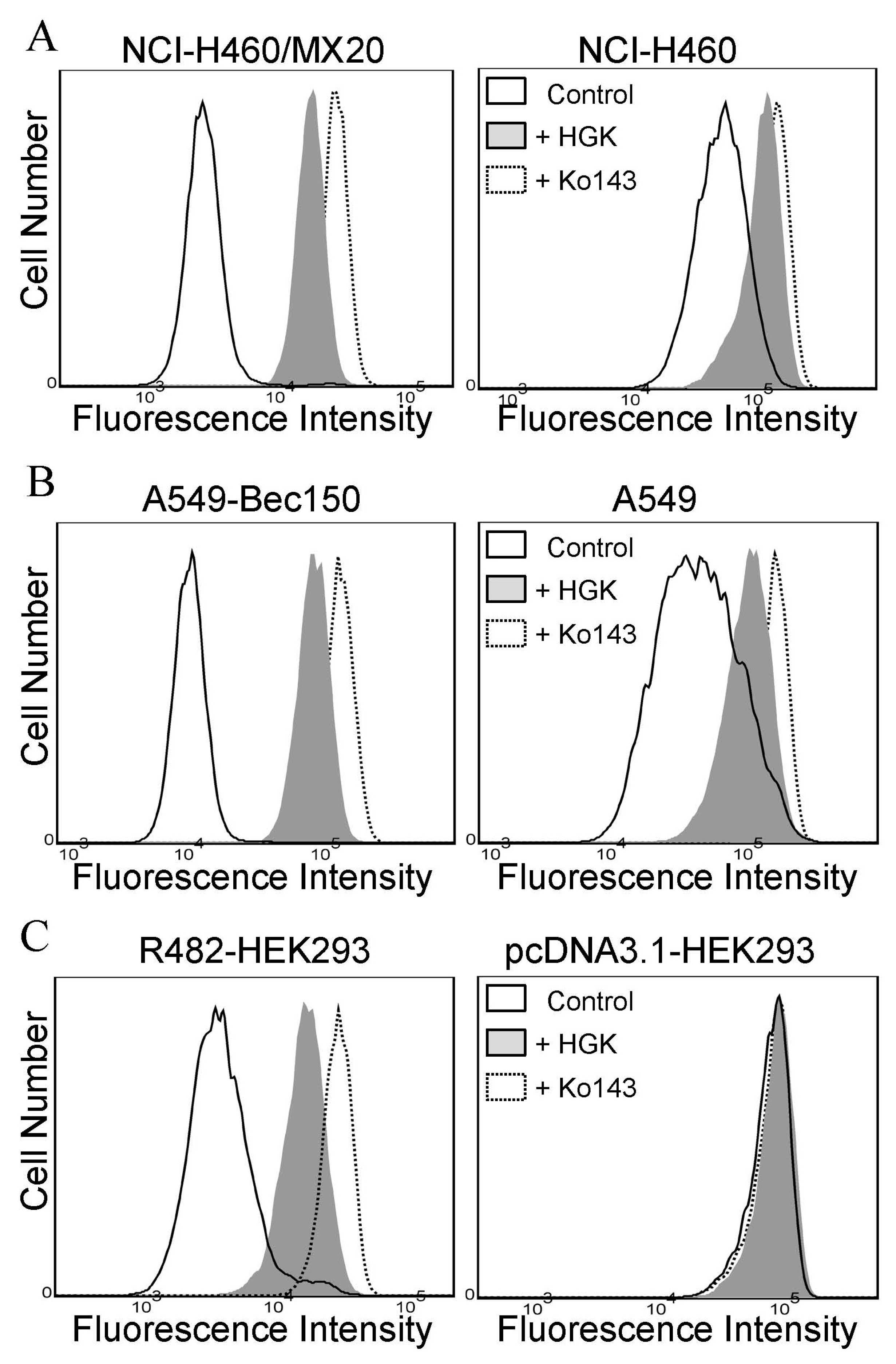 Ijms 23 12763 g004 Ijms 23 12763 g004