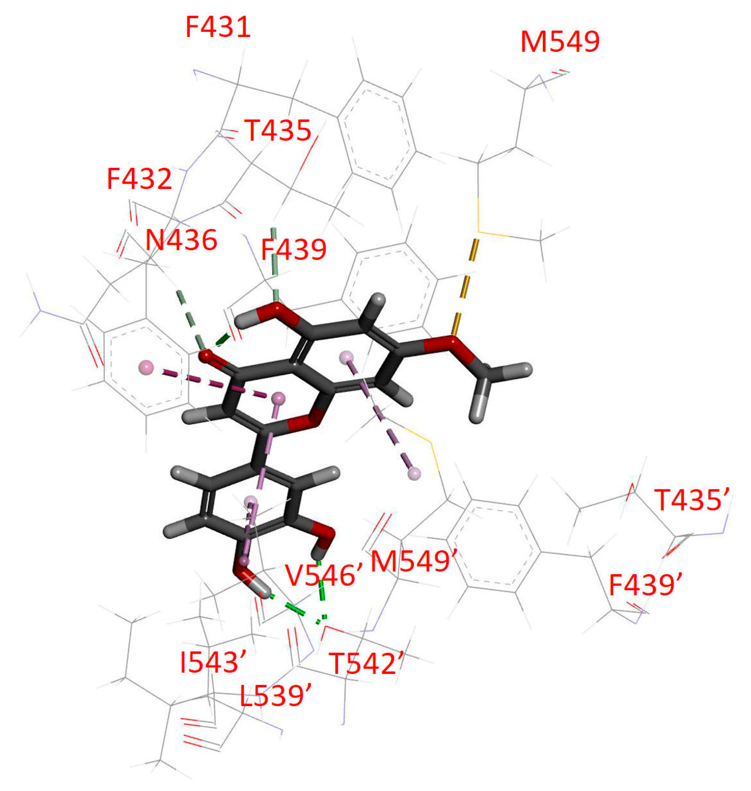 Ijms 23 12763 g007 Ijms 23 12763 g007