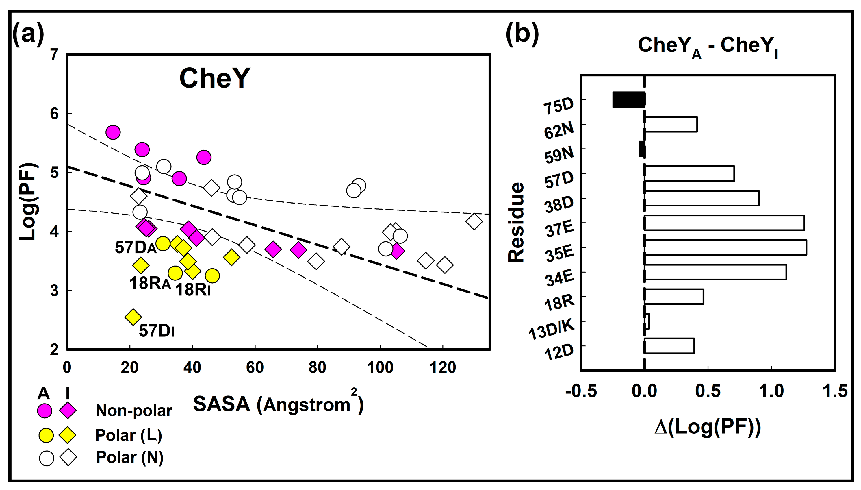 Ijms 23 12771 g002 Ijms 23 12771 g002