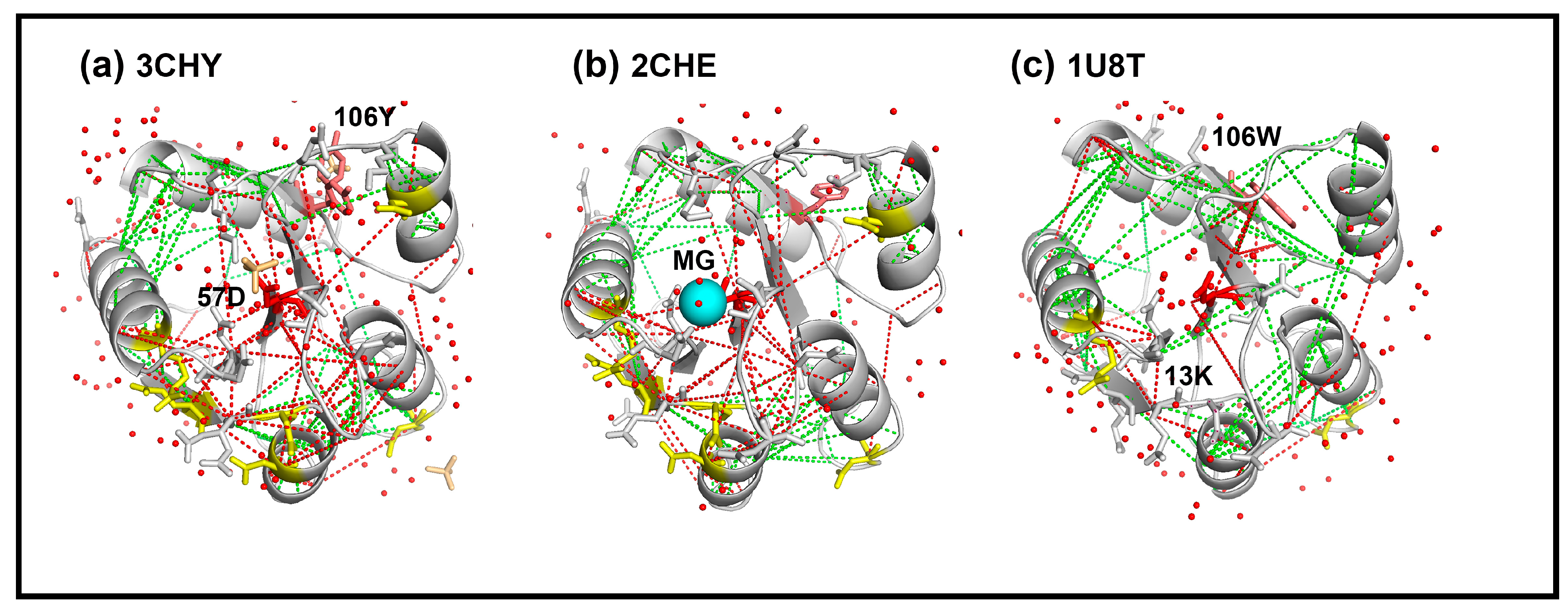 Ijms 23 12771 g003 Ijms 23 12771 g003