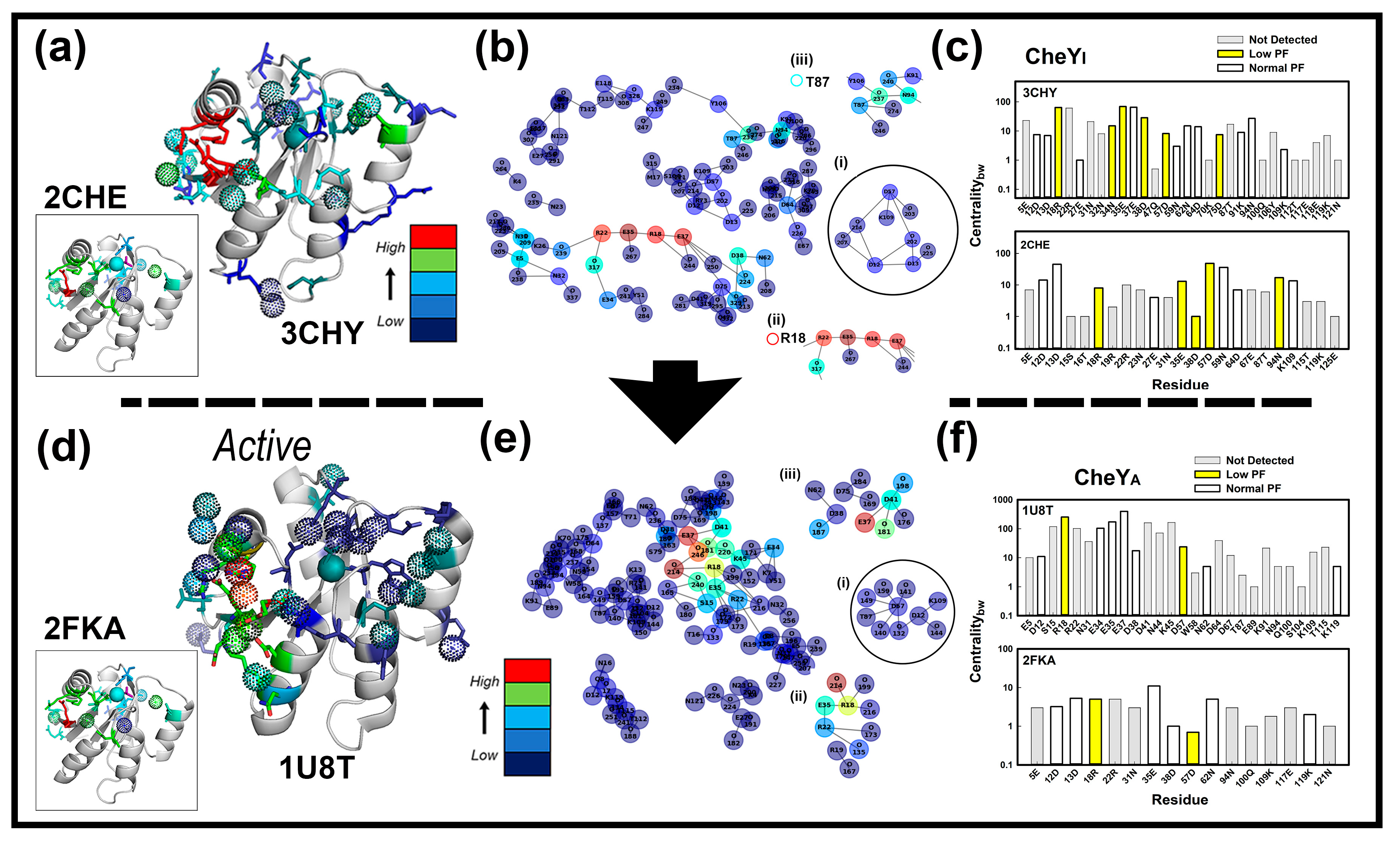 Ijms 23 12771 g004 Ijms 23 12771 g004