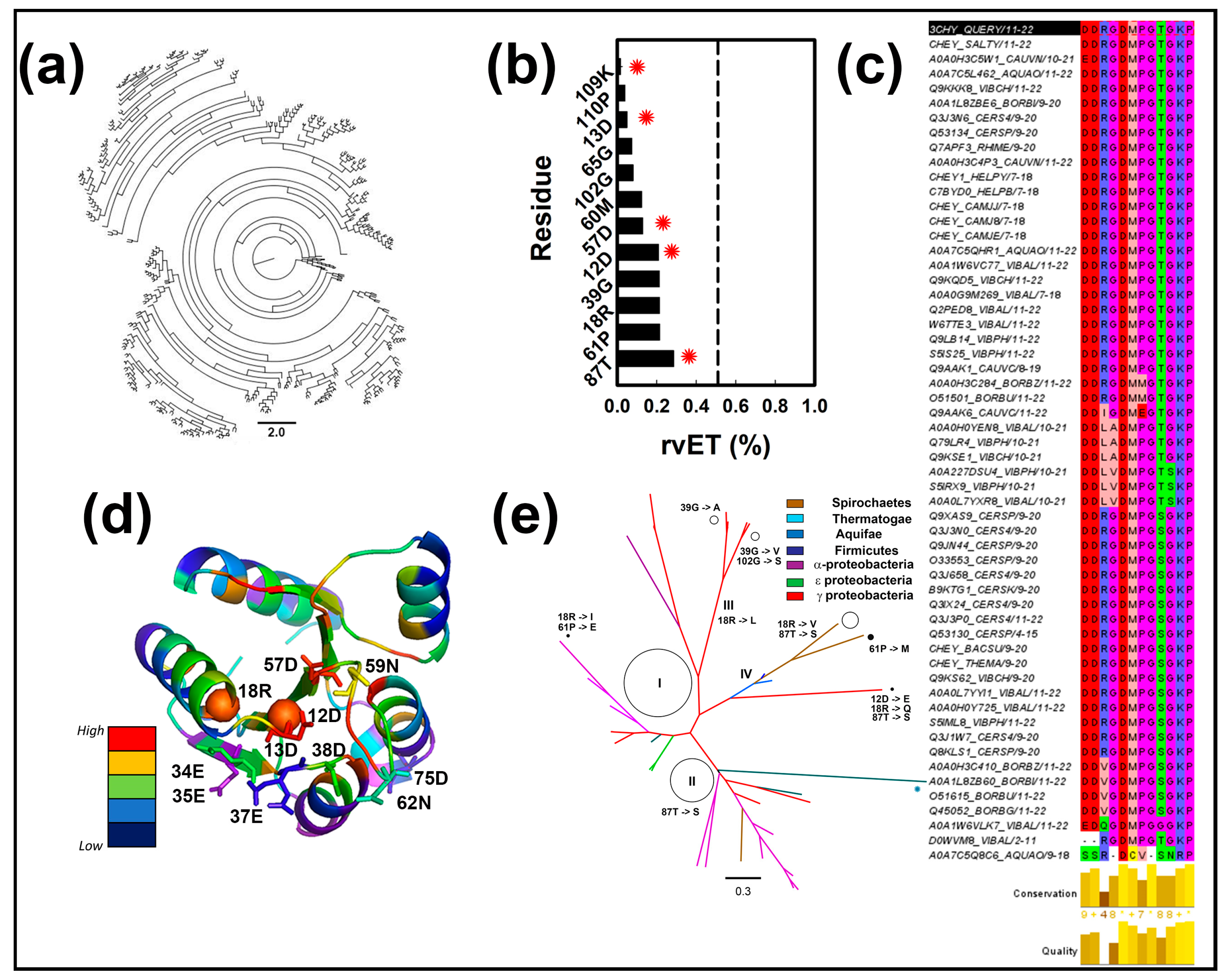 Ijms 23 12771 g005 Ijms 23 12771 g005