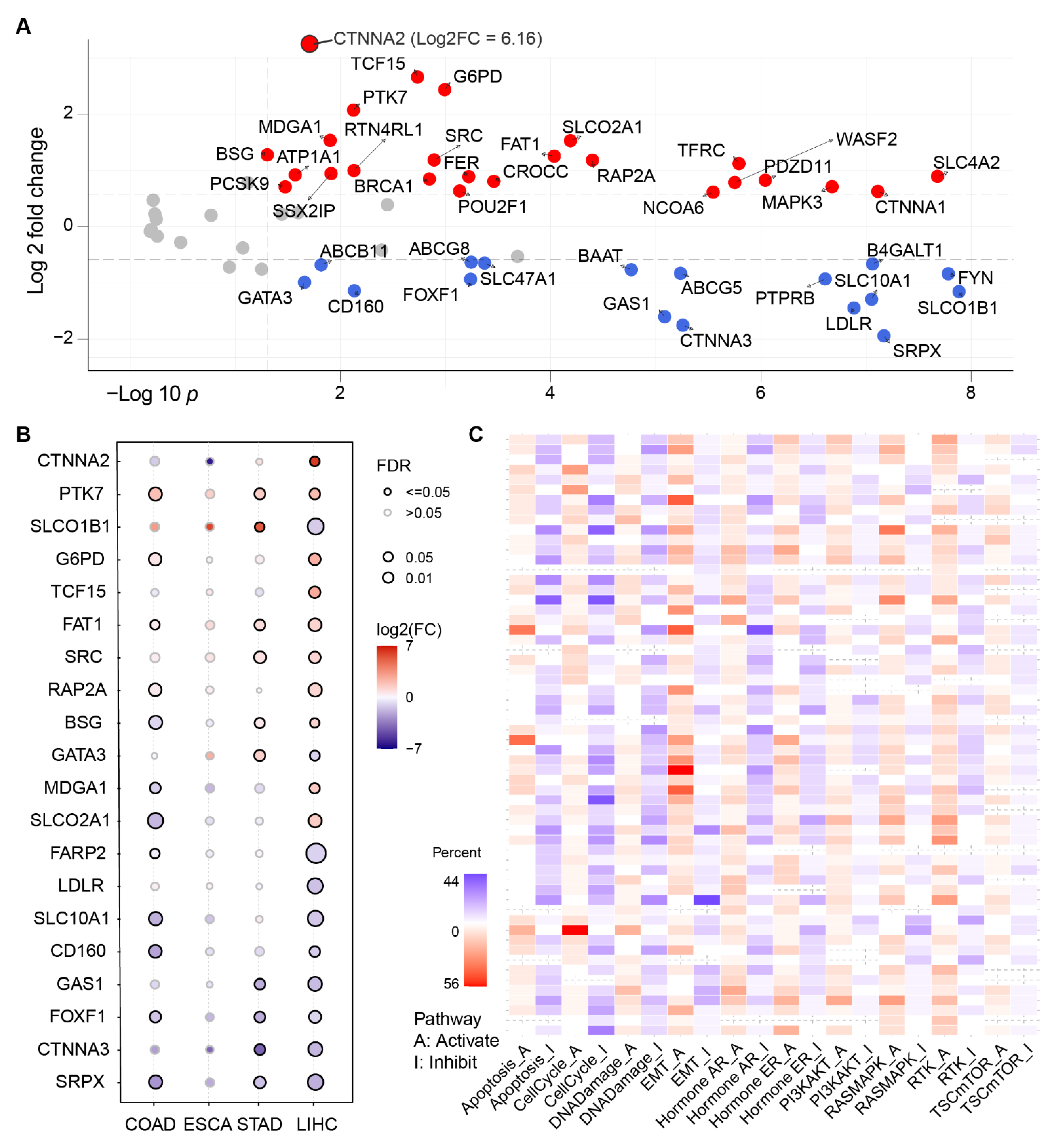 Ijms 23 12784 g002 Ijms 23 12784 g002