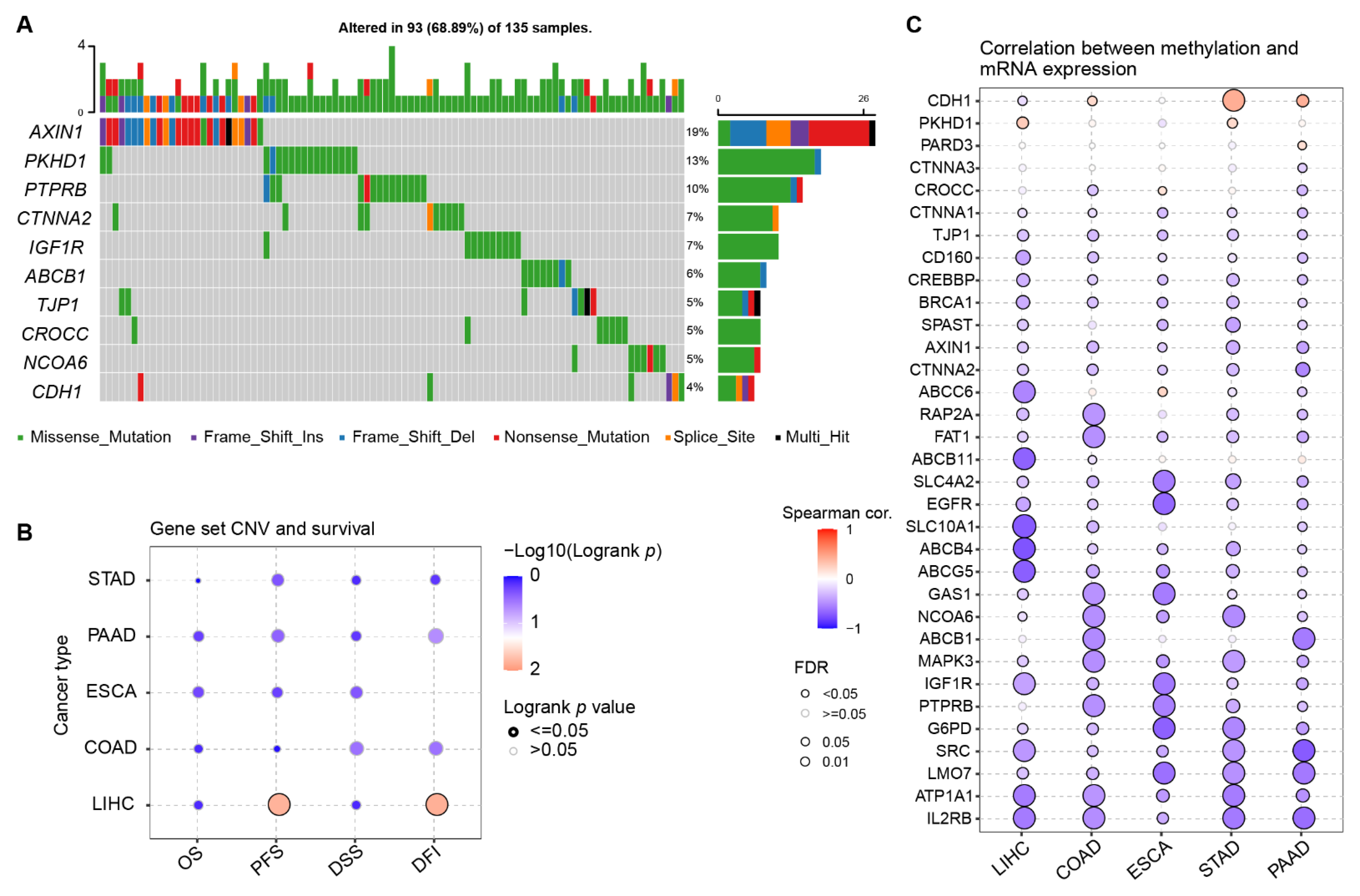 Ijms 23 12784 g004 Ijms 23 12784 g004