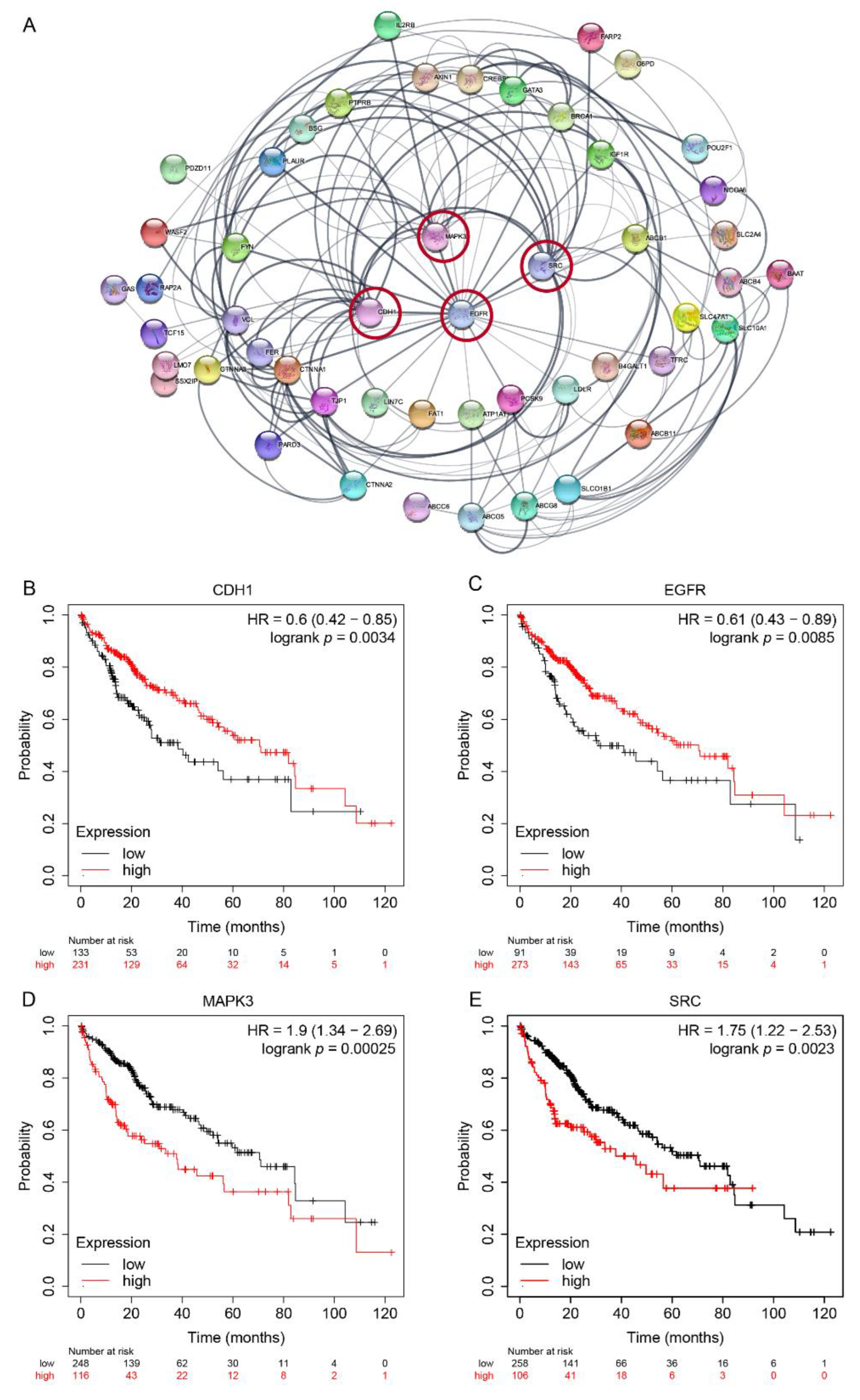 Ijms 23 12784 g005 Ijms 23 12784 g005