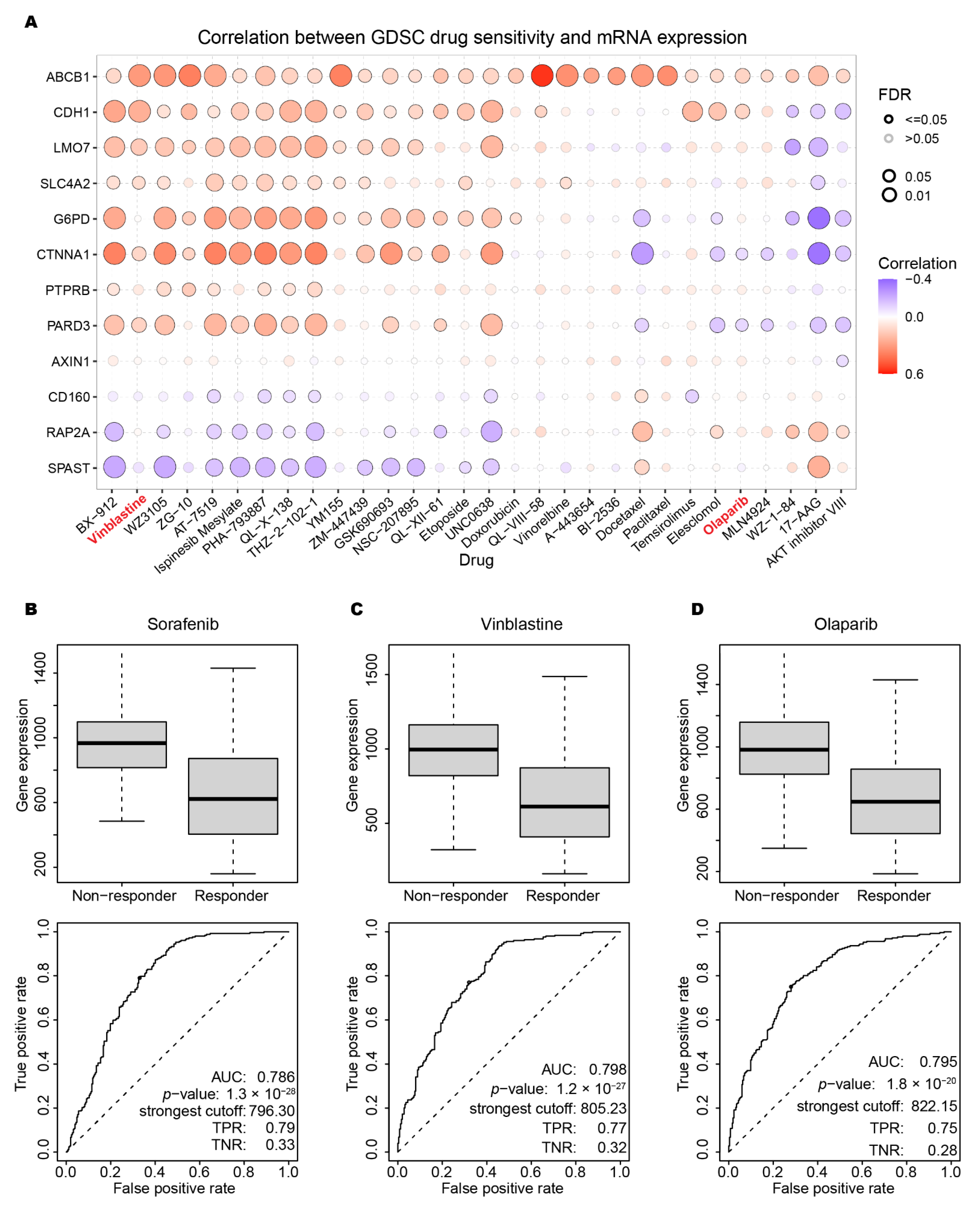 Ijms 23 12784 g007 Ijms 23 12784 g007