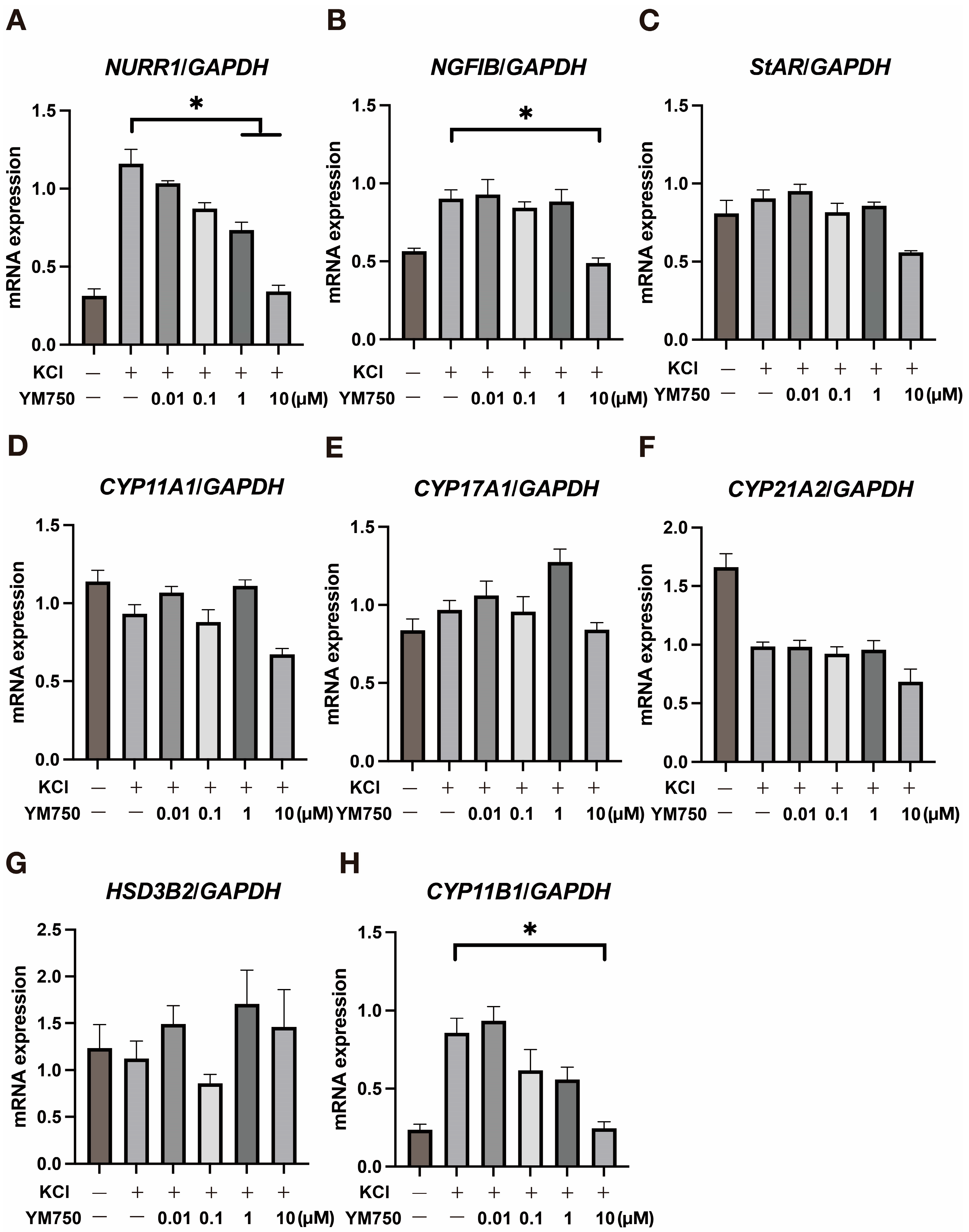 Ijms 23 12803 g002 Ijms 23 12803 g002