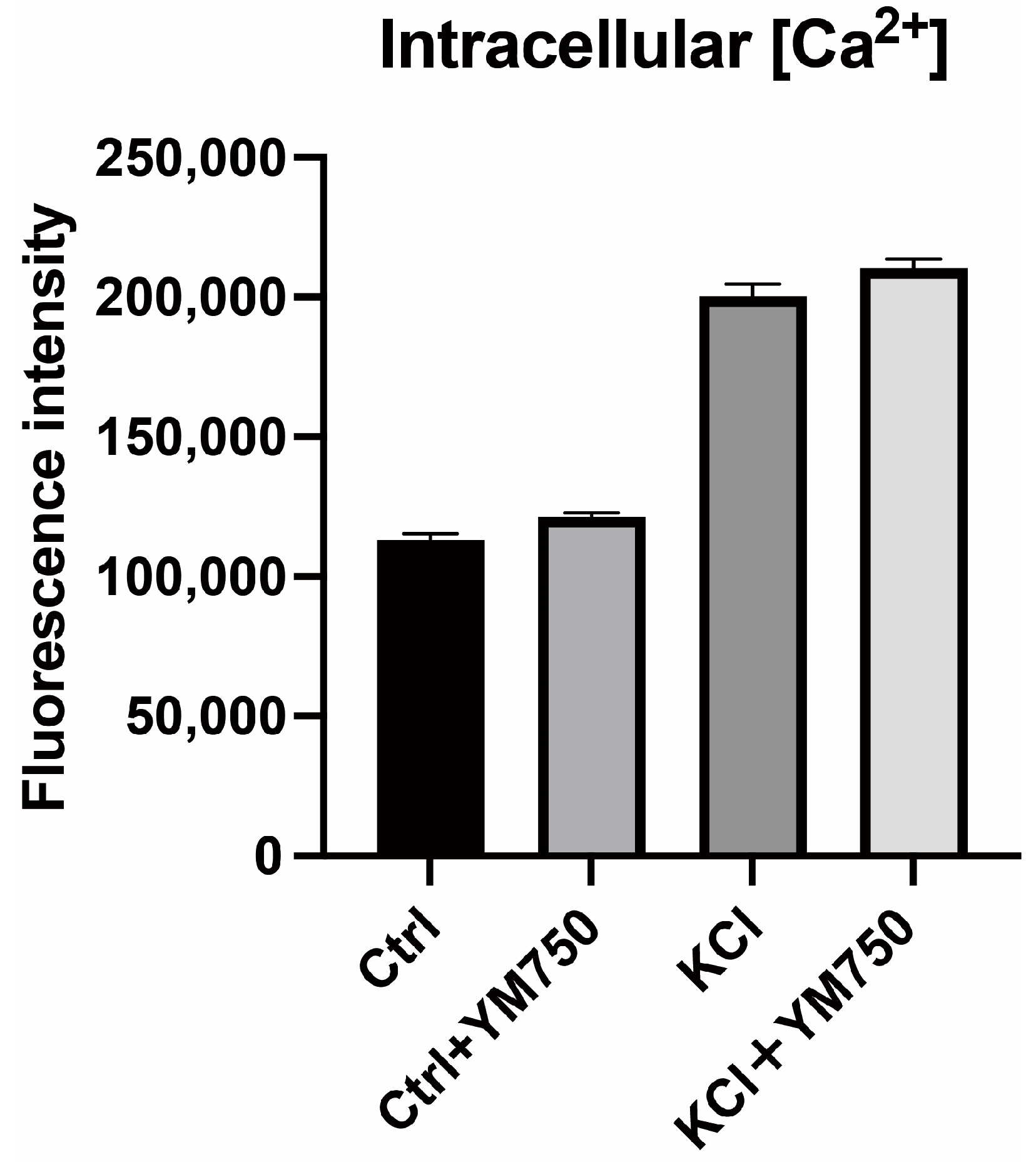 Ijms 23 12803 g004 Ijms 23 12803 g004