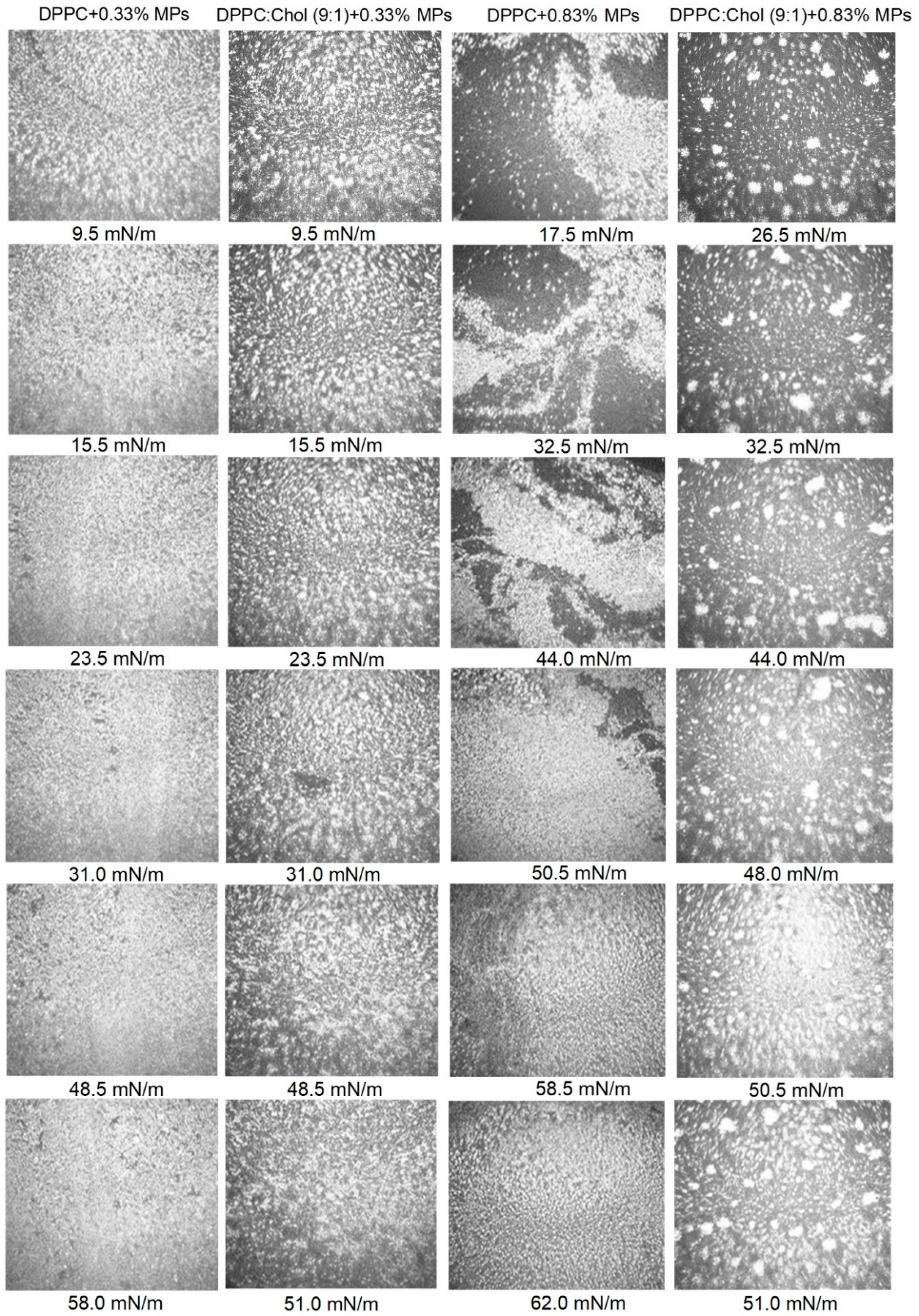 Ijms 23 12822 g002 Ijms 23 12822 g002