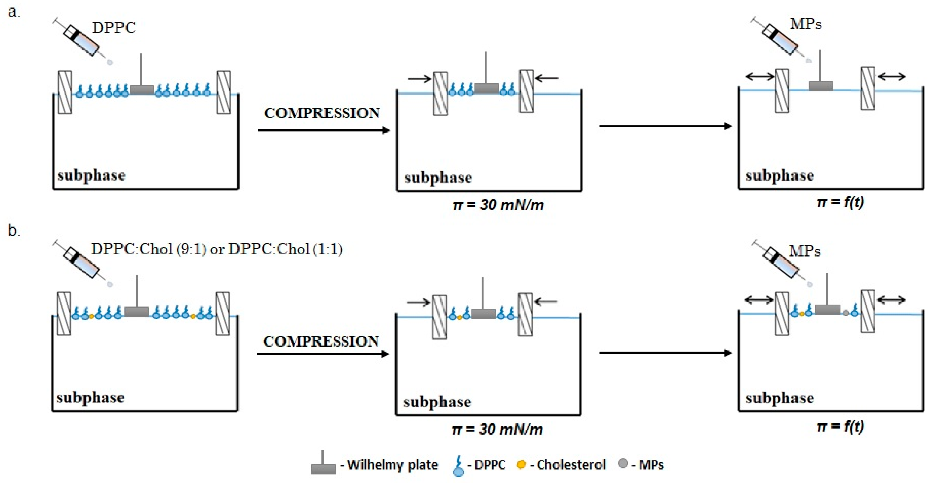 Ijms 23 12822 g007 Ijms 23 12822 g007